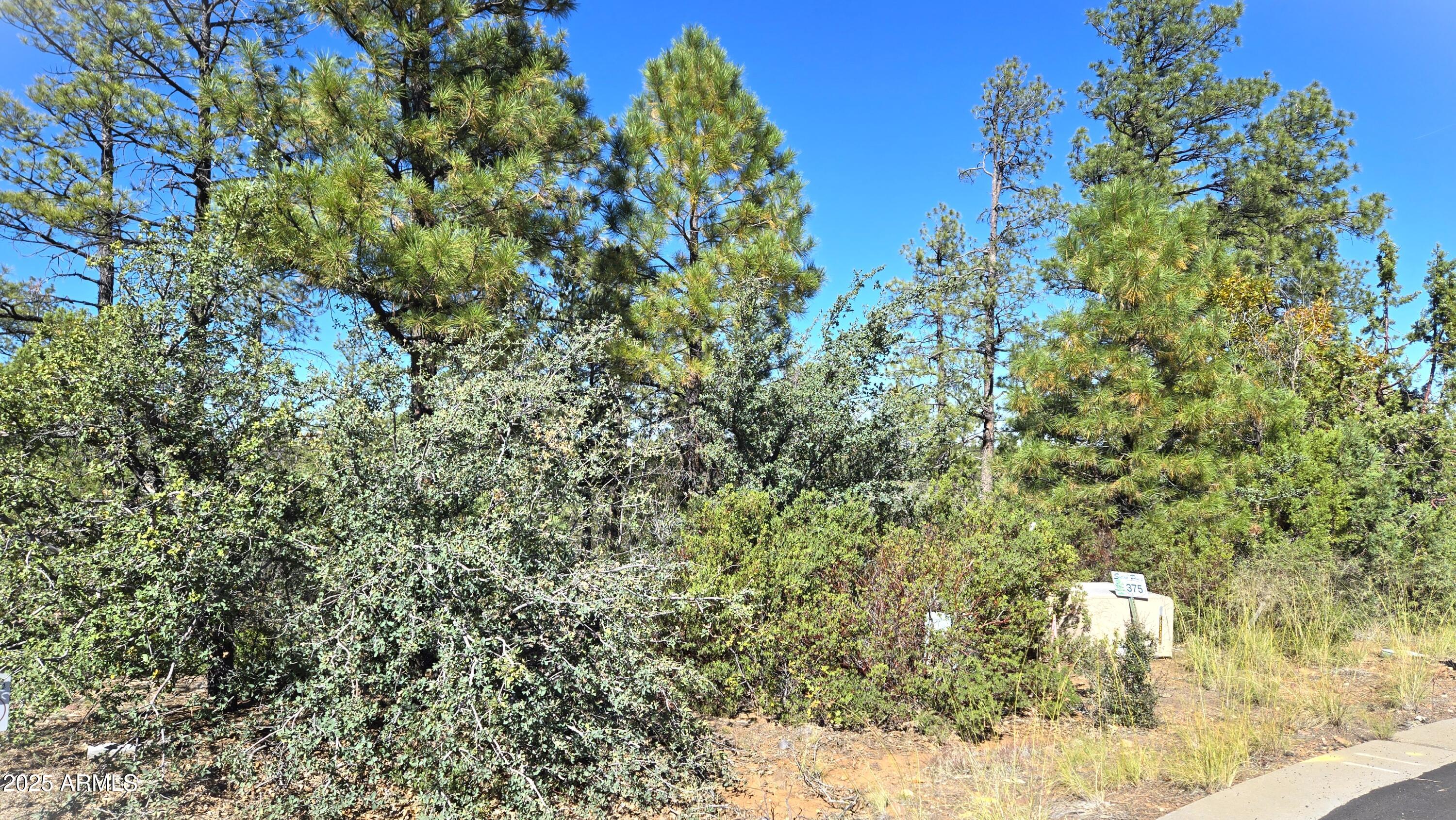 Wooded with tall trees and treed view, Cul de sac lot on paved street, power, water on property, city sewer on street above and line below on easement, Lot in city 15 min from hospital and shopping, Wonderful Wooded neighborhood feels like in forest mins from town! trees trimmed in 2025 to make Firewise approval