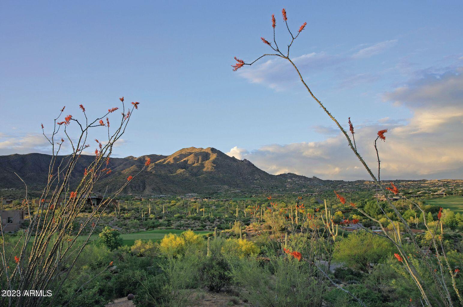 DESERT MOUNTAIN PHASE 2 UNIT 10 LOT 110A - Residential