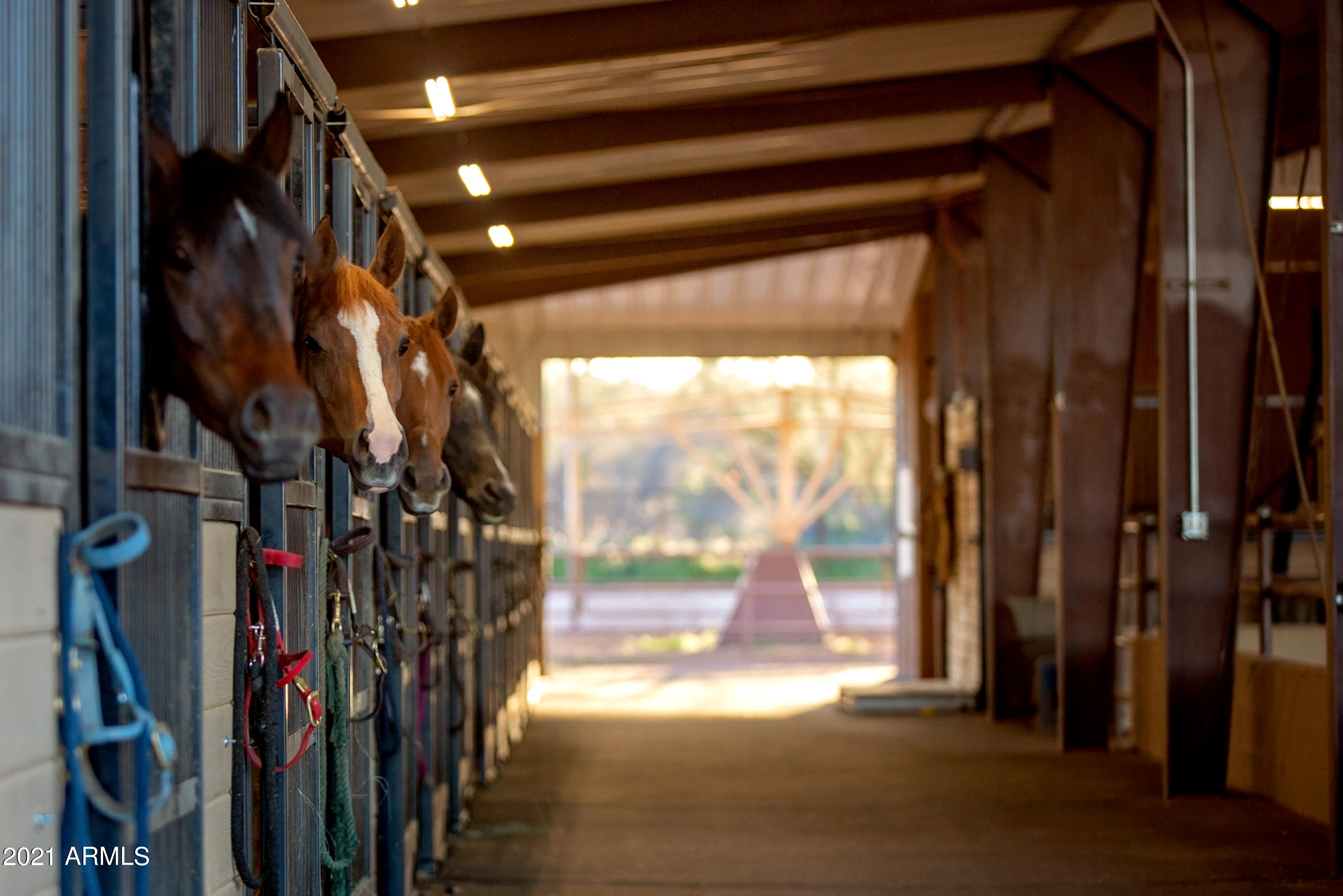 Premier Equestrian Facility - Residential