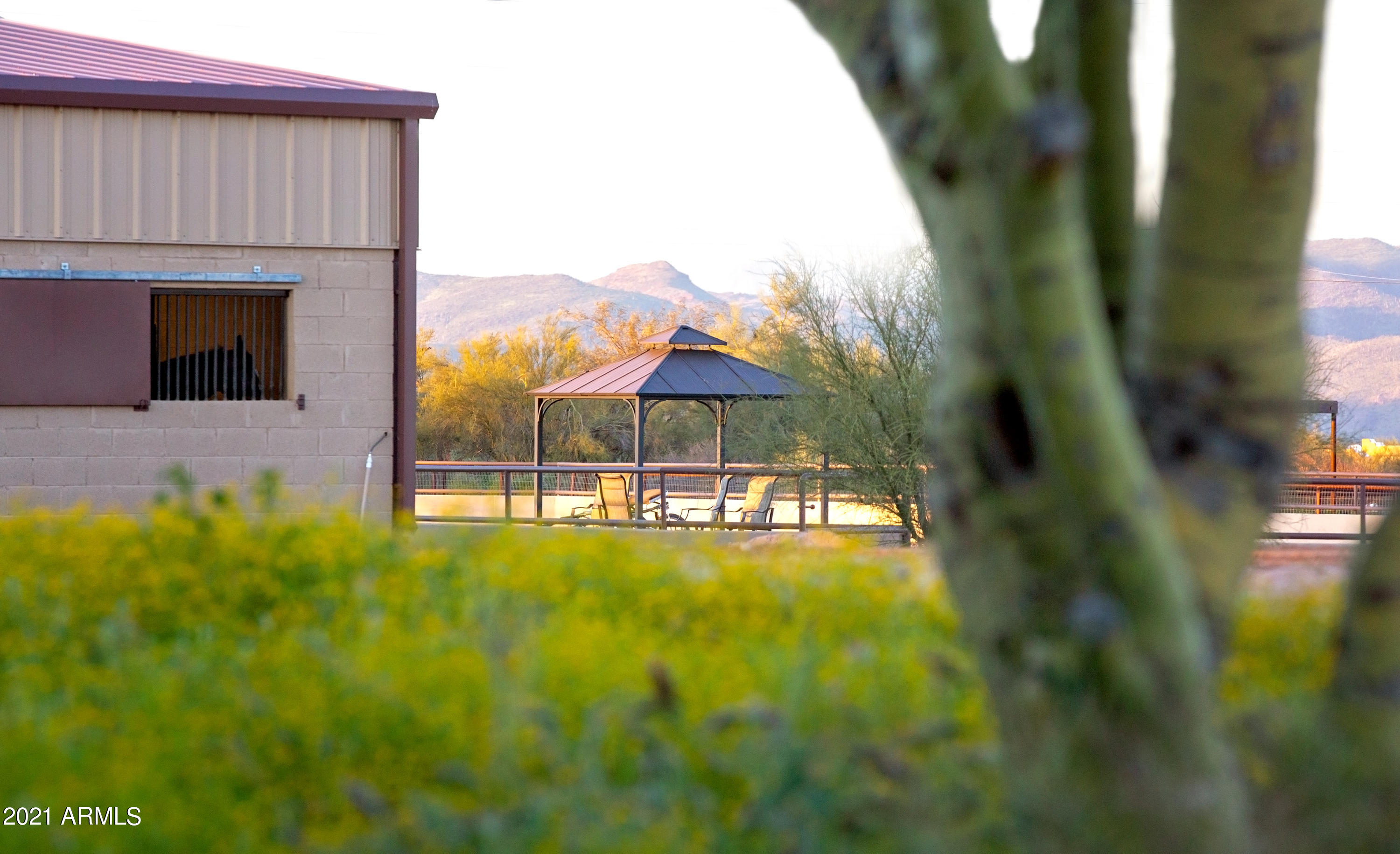 Premier Equestrian Facility - Residential
