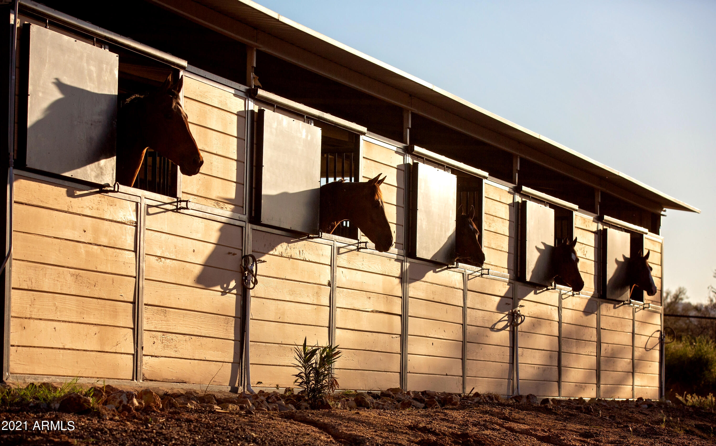 Premier Equestrian Facility - Residential