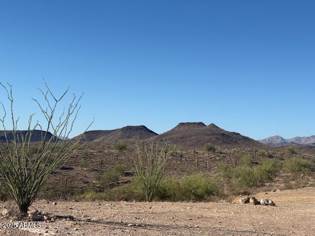 GOLDFIELD RANCH - Land