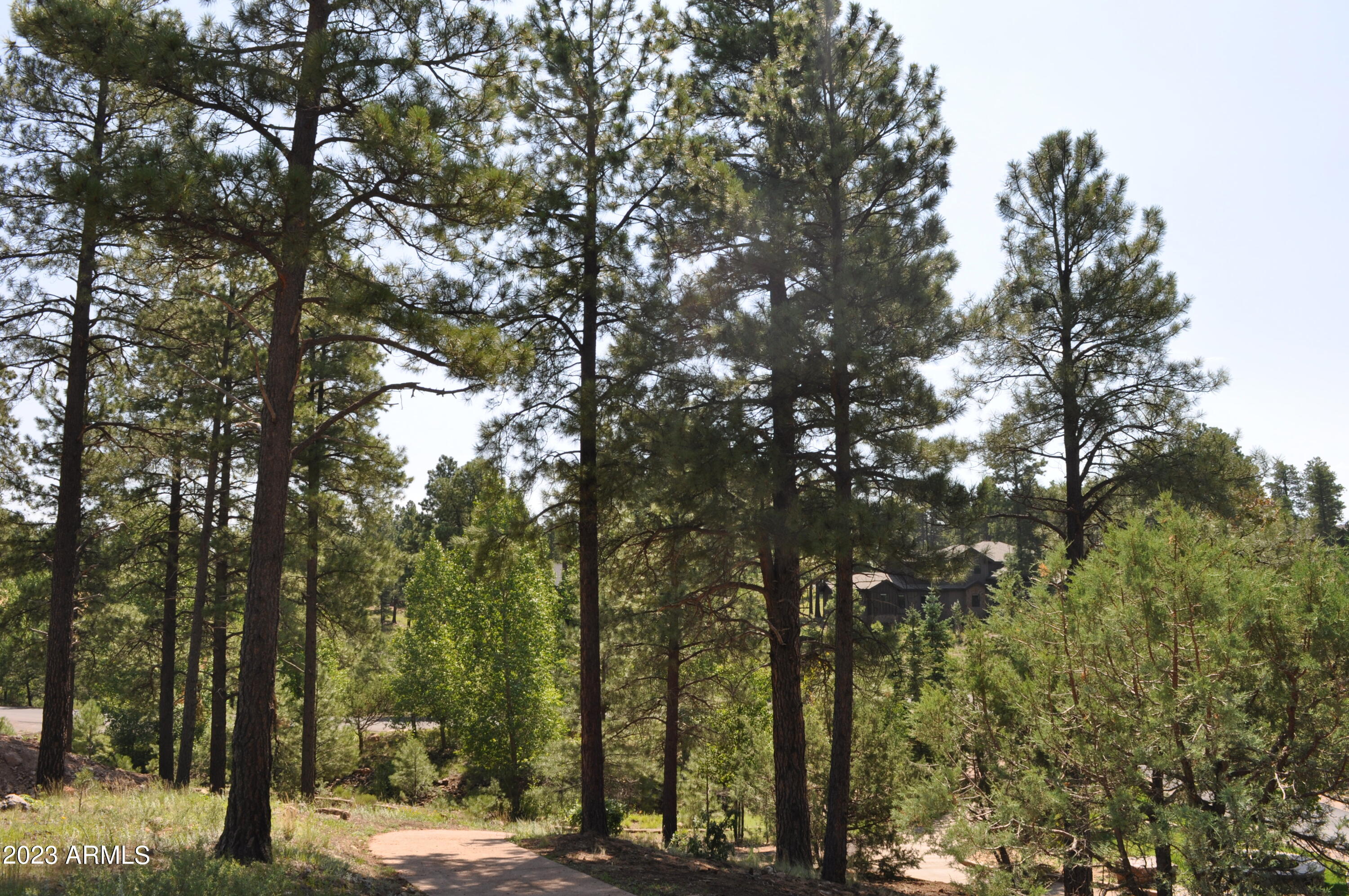 Pine Canyon - Land