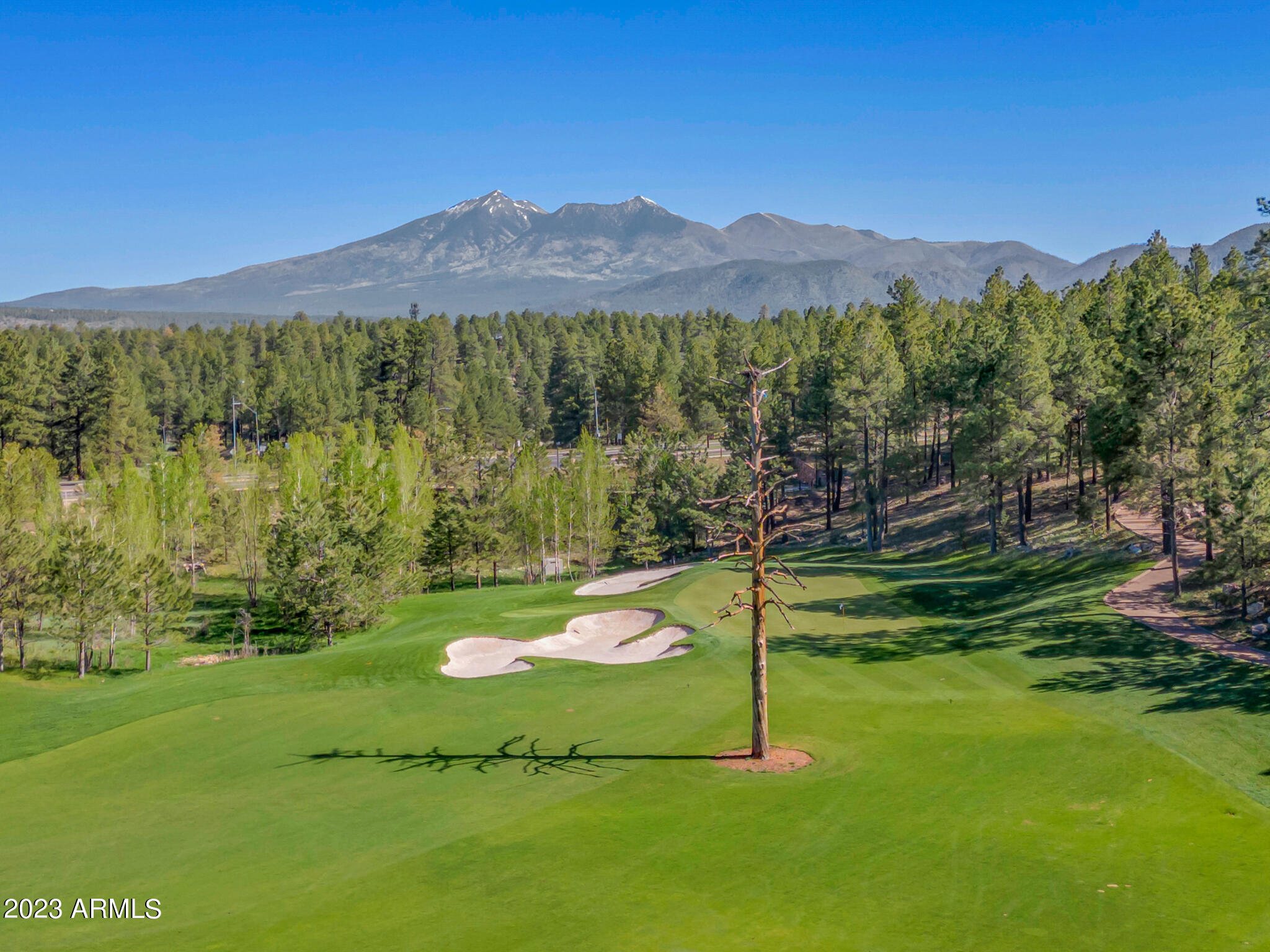 Pine Canyon - Land