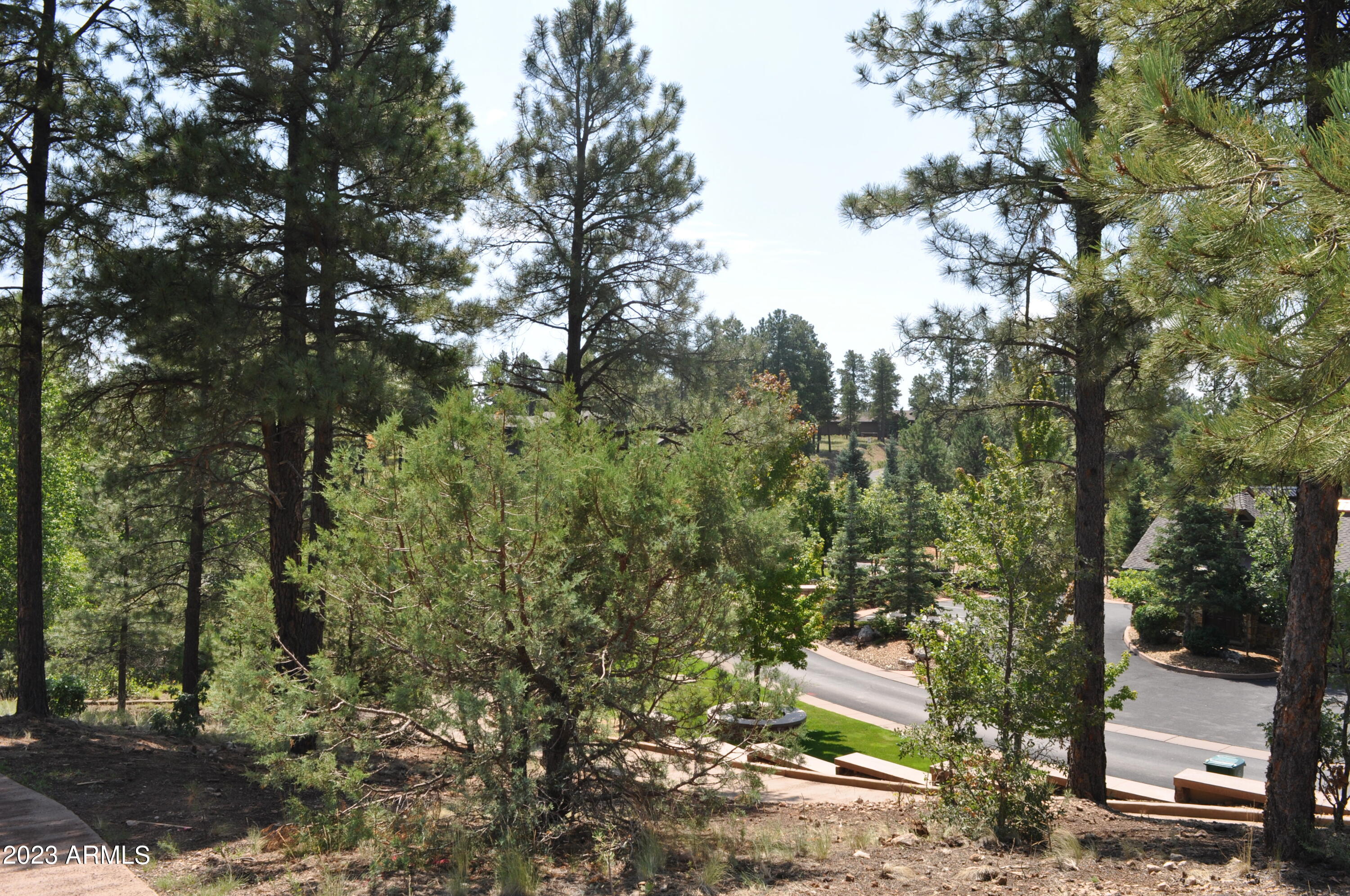 Pine Canyon - Land