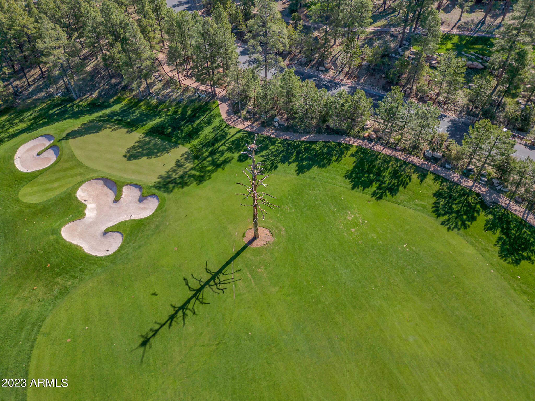 Pine Canyon - Land