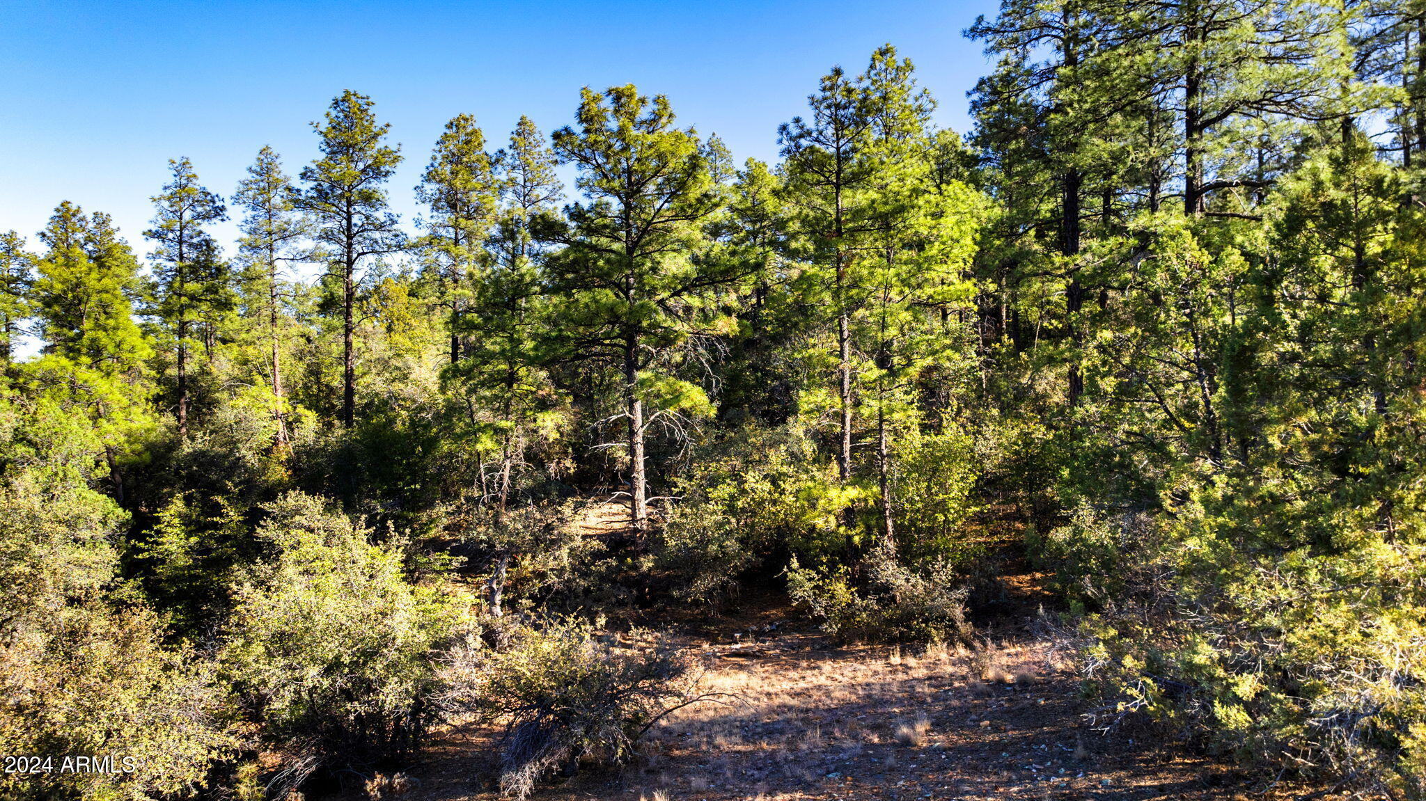 Discover the perfect blend of tranquility and convenience with this exceptional 14.29-acre property, located just over a mile from historic downtown Prescott. This expansive parcel offers breathtaking views and abundant natural beauty and is your blank canvas for creating a dream retreat or development. Whether you're looking to build a custom home, develop a small community, or invest in a slice of Prescott's vibrant future, this property provides the ideal foundation. Don't miss this extraordinary opportunity to own a piece of Prescott's landscape with unmatched potential.