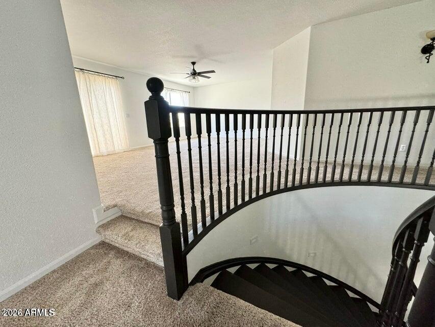 CONTINENTAL AT ARROWHEAD RANCH - Residential