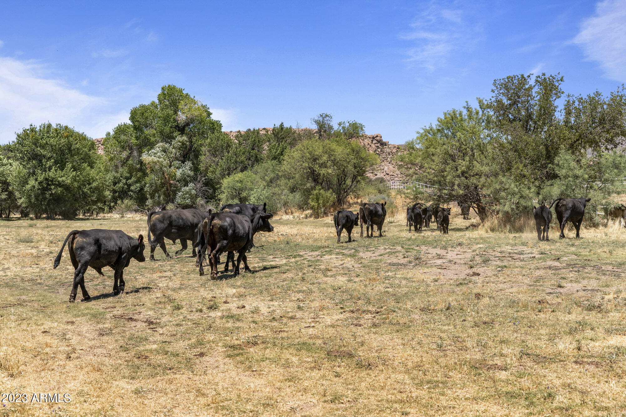 Iron Horse Ranch - Residential