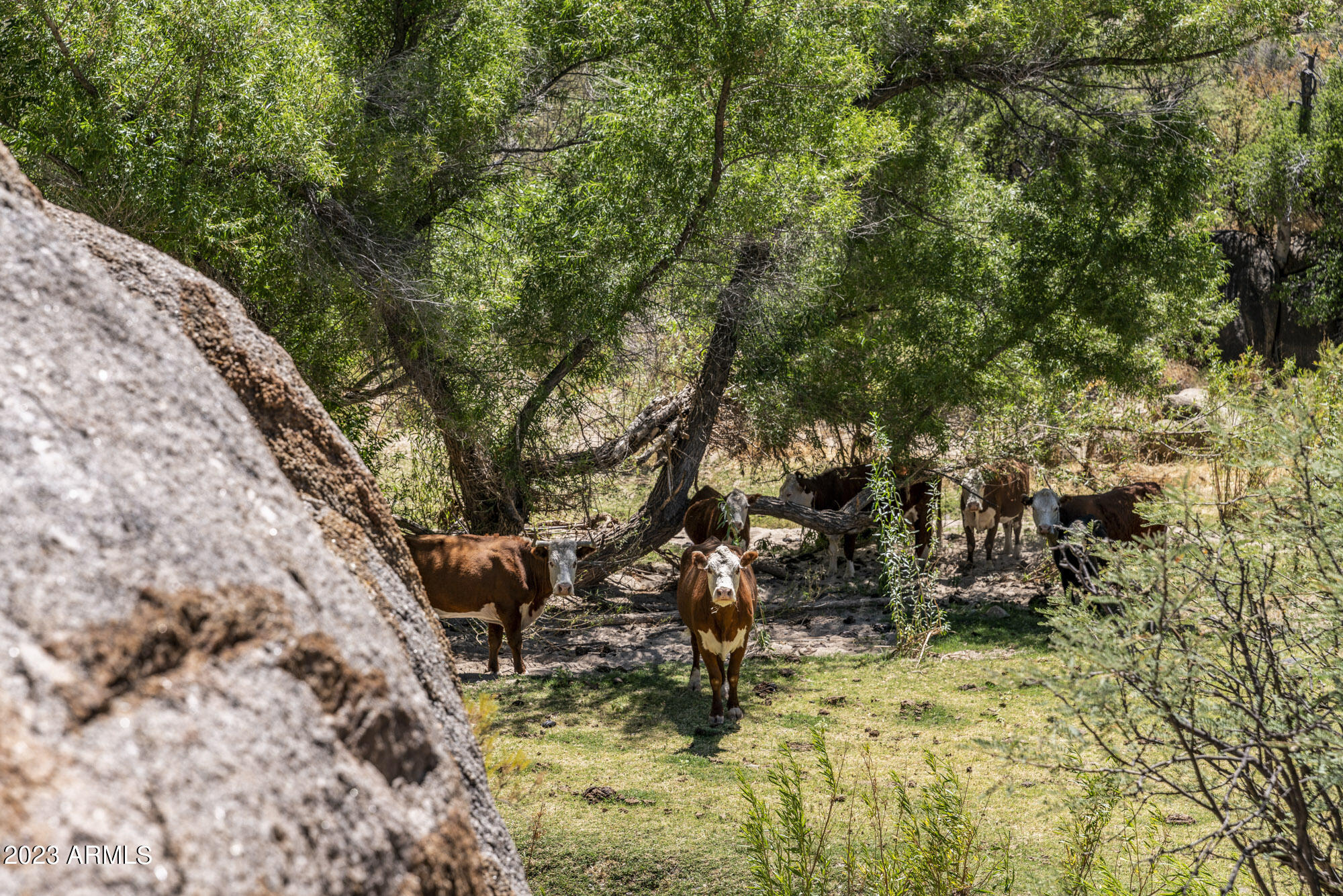 Iron Horse Ranch - Residential