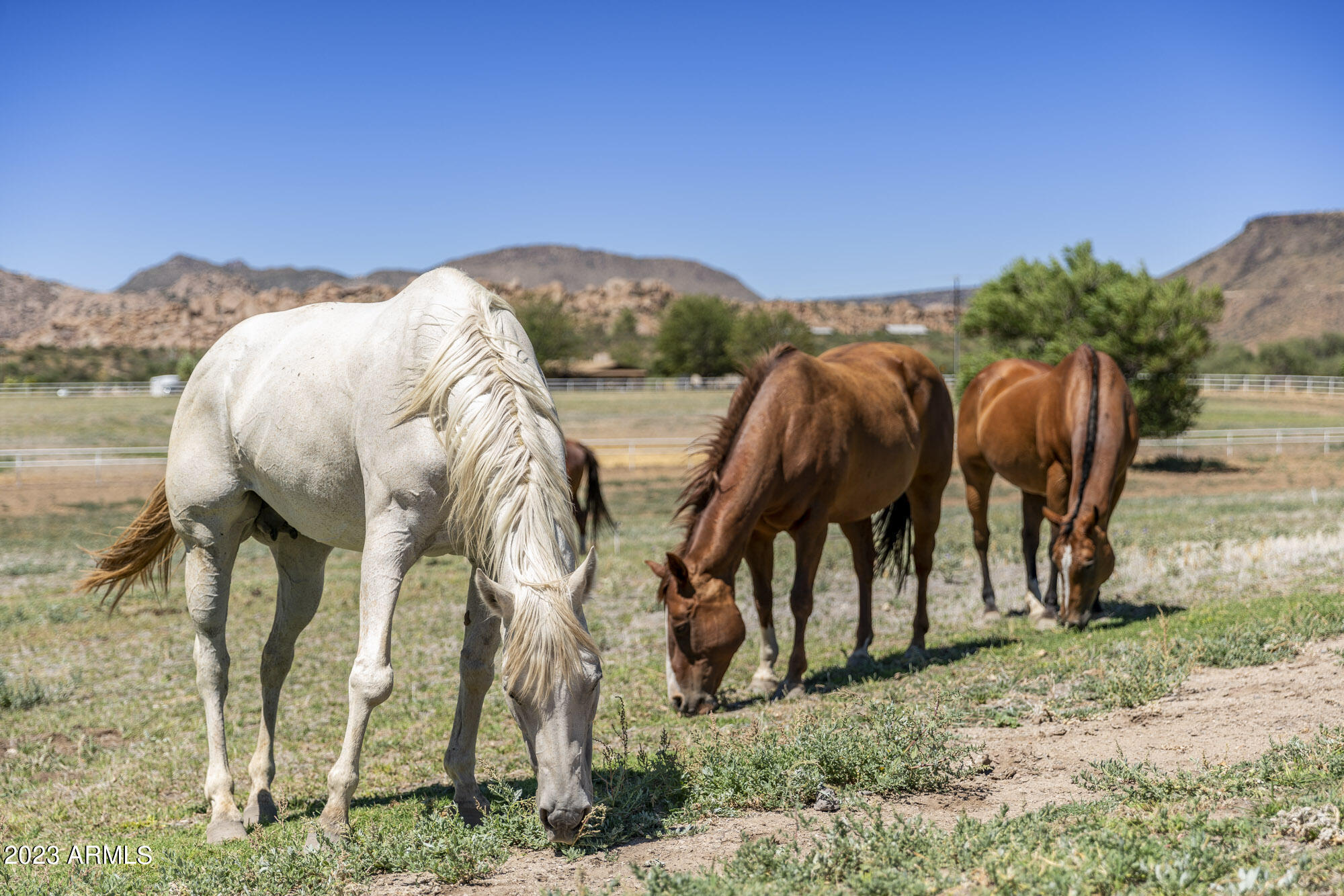 Iron Horse Ranch - Residential