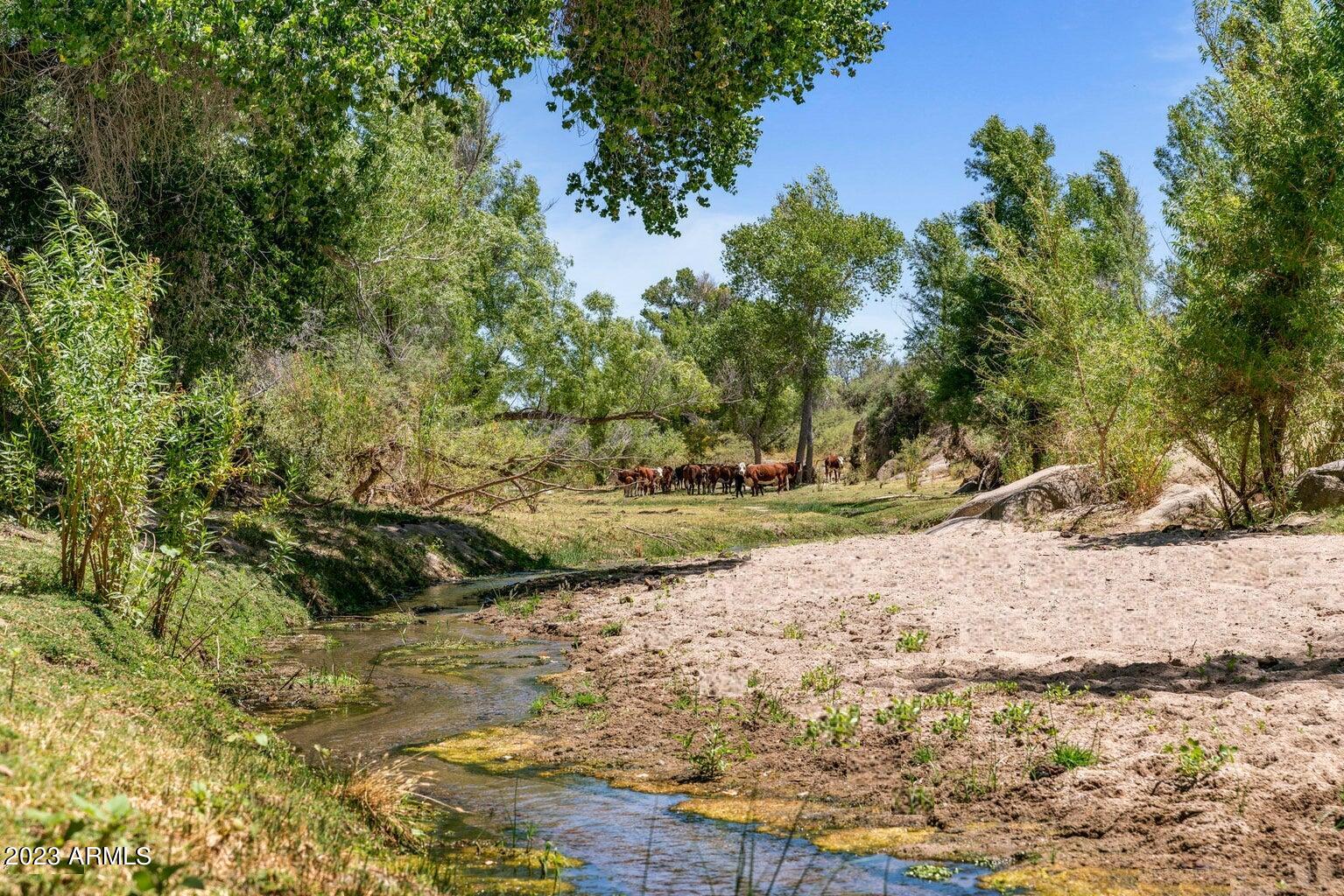 Iron Horse Ranch - Residential