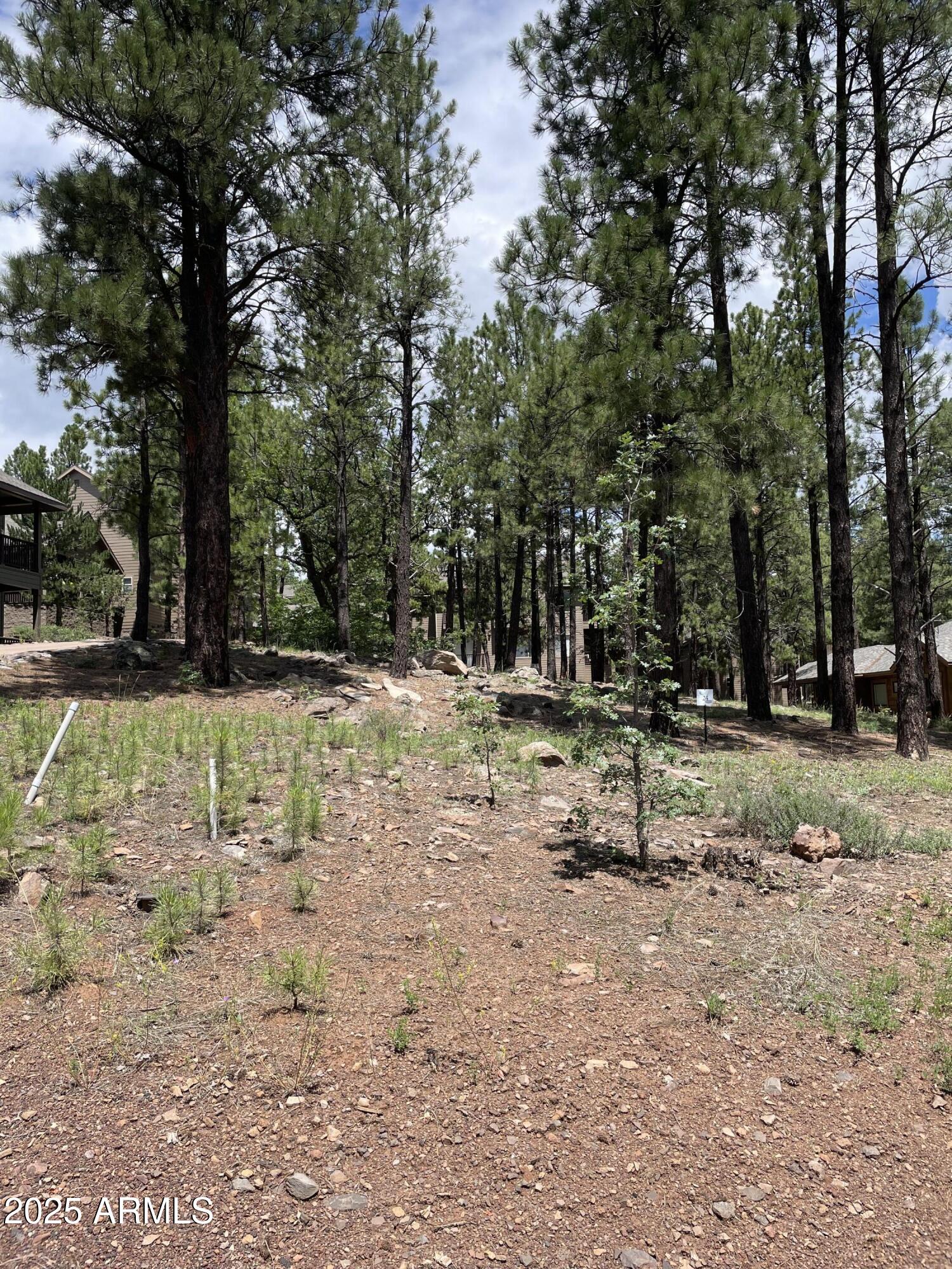 Enjoy the true four seasons of Flagstaff Ranch. This lot is located on the 8th hole of Flagstaff Ranch Golf Course and is one of the last remaining ''easy build'' flat lots. Flagstaff Ranch is a 454 acre paradise that backs to the Coconino National Forest. There are 100s of miles of hiking, mountain biking and off roading trails that can be accessed directly from the property. Enjoy cool summer temperatures and epic winter wonderlands. 

Flagstaff Ranch Golf Course is a Golf Digest Top Rated course and is one of the finest layouts in all of Arizona. The Golf Club is Troon Managed and features a gorgeous Clubhouse, Panorama Room Restaurant and Private Dining. The Community Center features a Pool and Hot Tub, Kid's Areas, Gym and World Class Racquet Center featuring Tennis and Pickleball. Flagstaff Ranch is 24/7 guard gated for a truly lock and leave experience. There are on site roving security staff and 24 hour EMT and Fire professionals. Architectural Plans have been developed and are included in the sale price. Membership in Flagstaff Ranch Golf Club is required and the Equity Membership is purchased separately through the Golf Club.