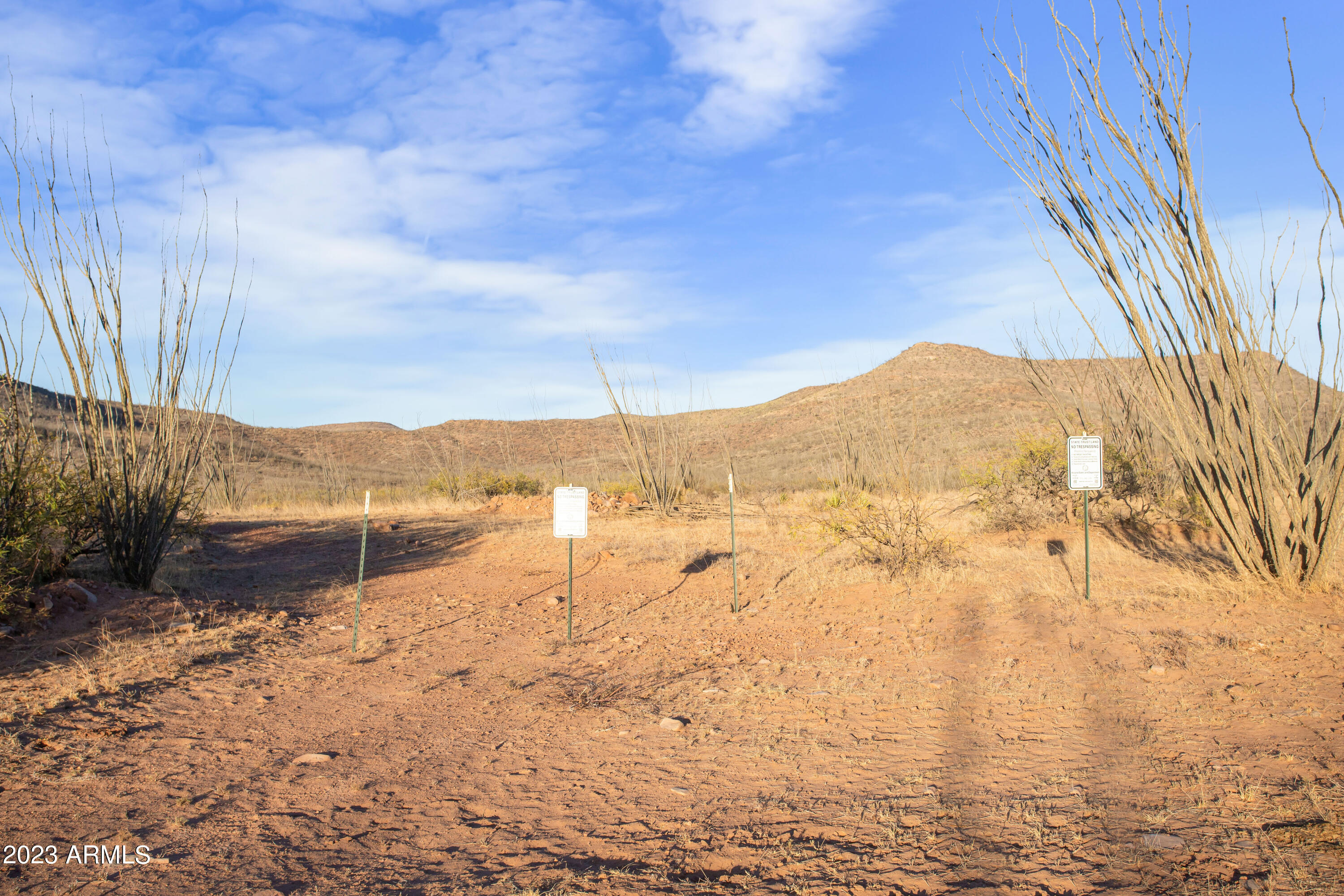 MULE MOUNTAIN RANCHES - Land
