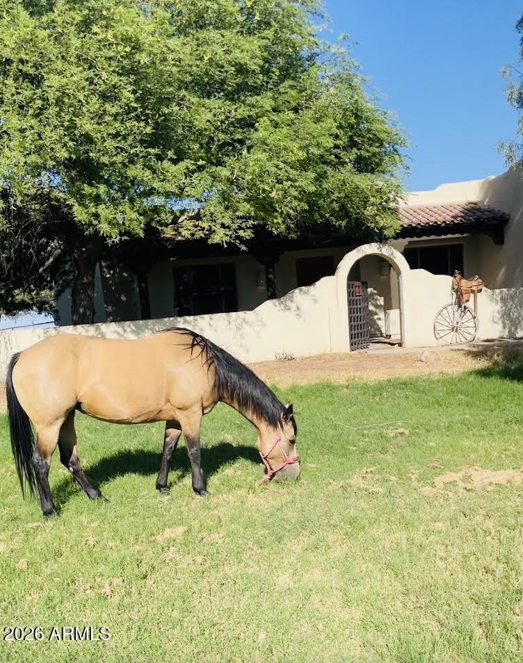 None - Irrigated Horse Property - Residential