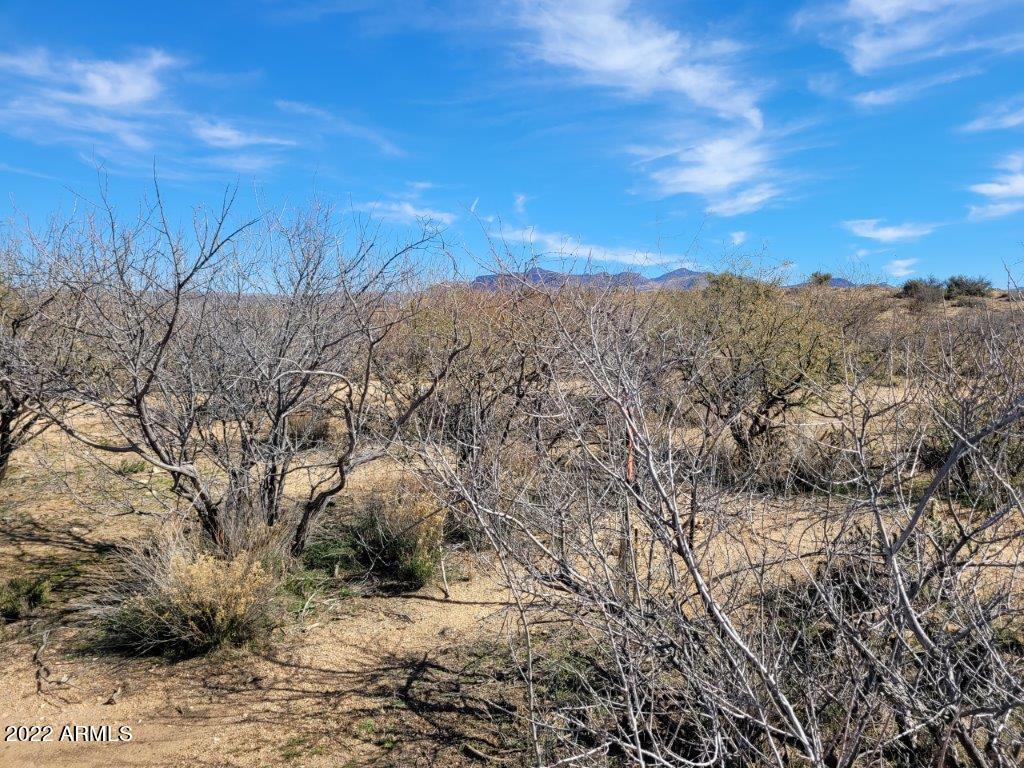 SADDLE CREEK RANCH PHASE 3 - Land