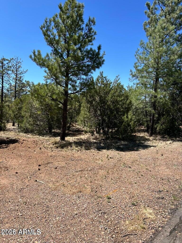 WOLF PINES UNIT 2 - Land