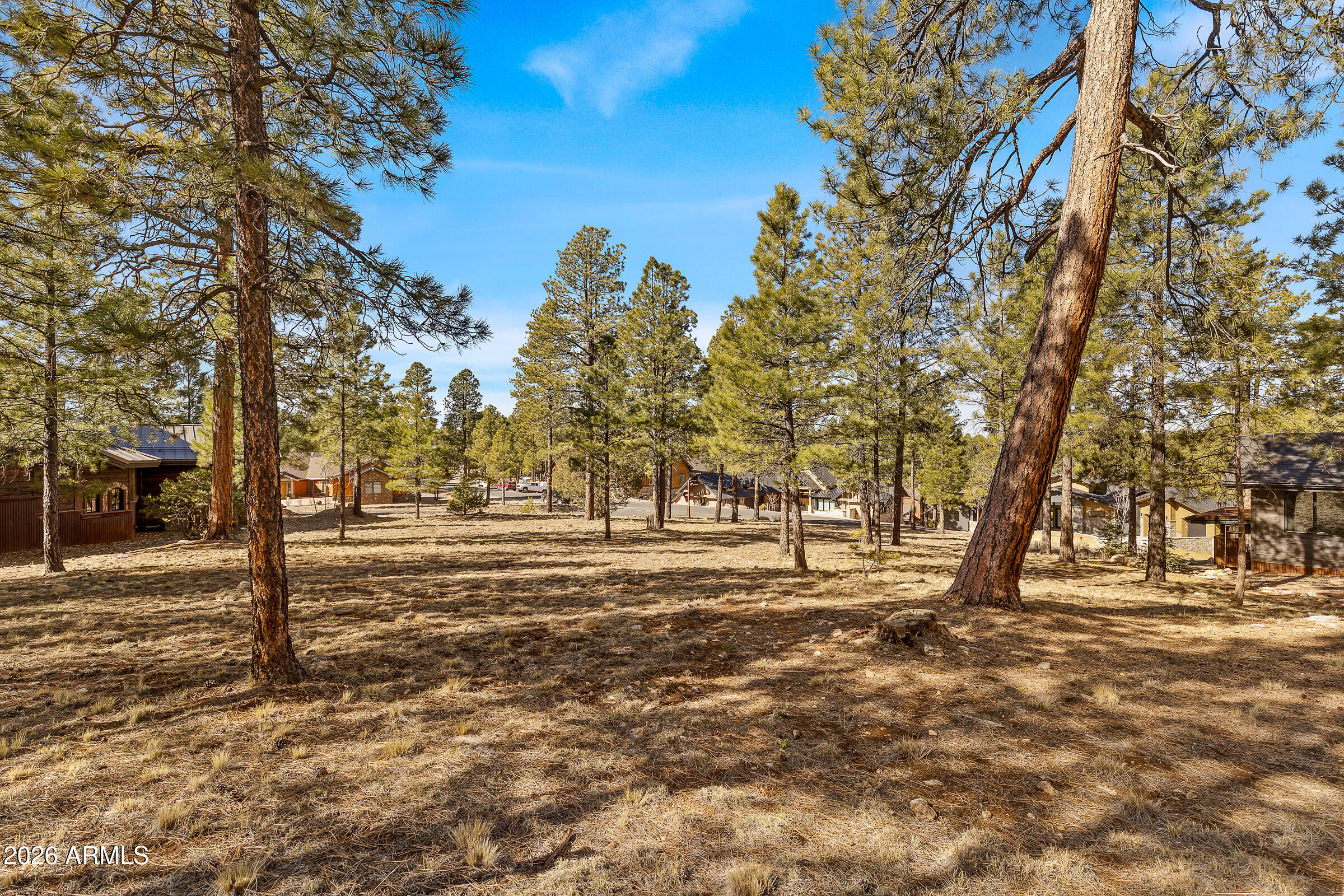 Estates At Pine Canyon - Land