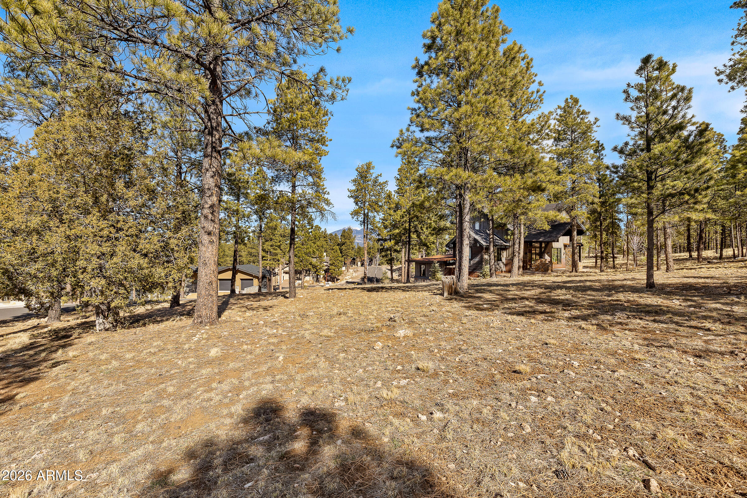 Estates At Pine Canyon - Land