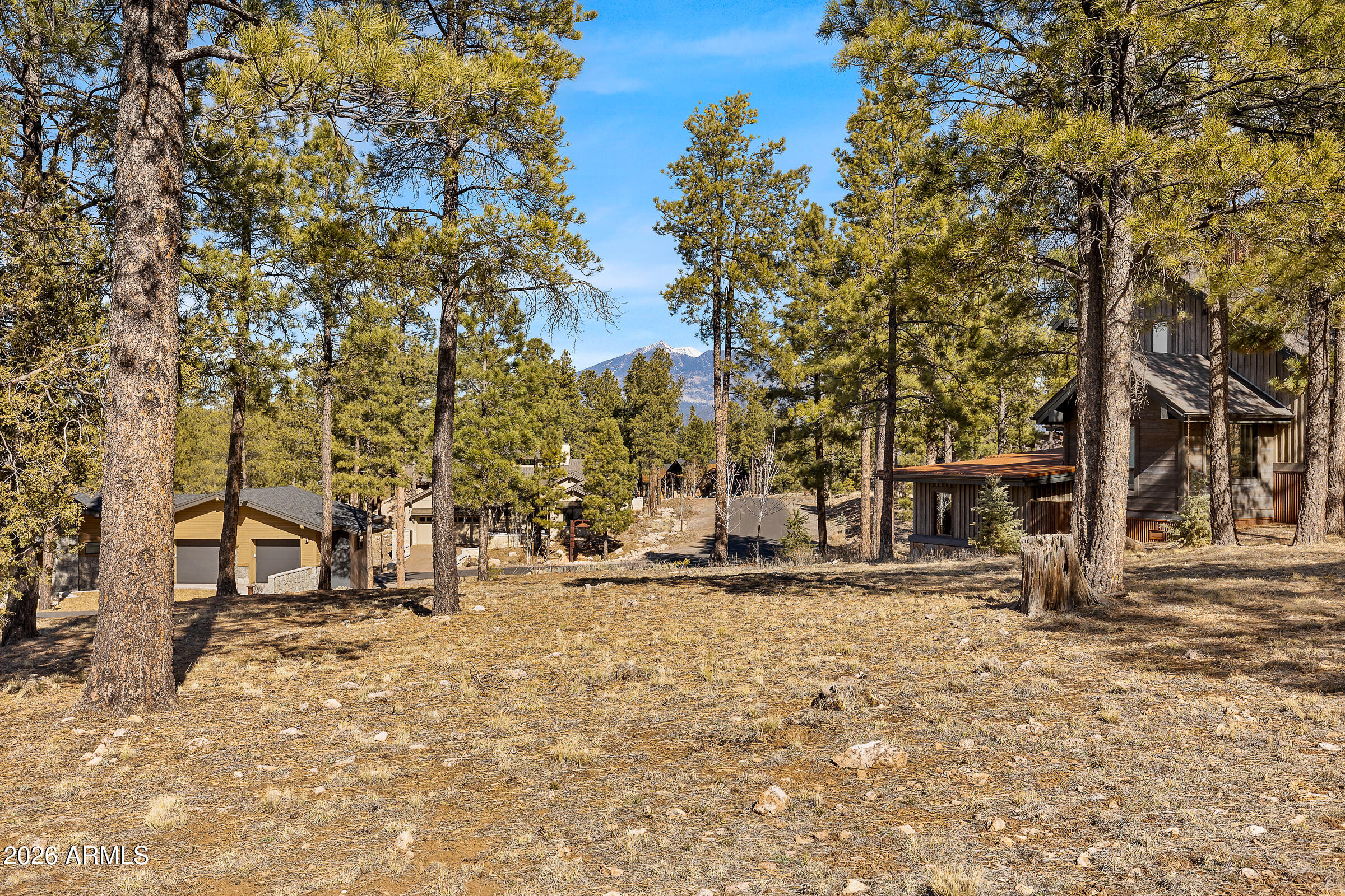 Estates At Pine Canyon - Land