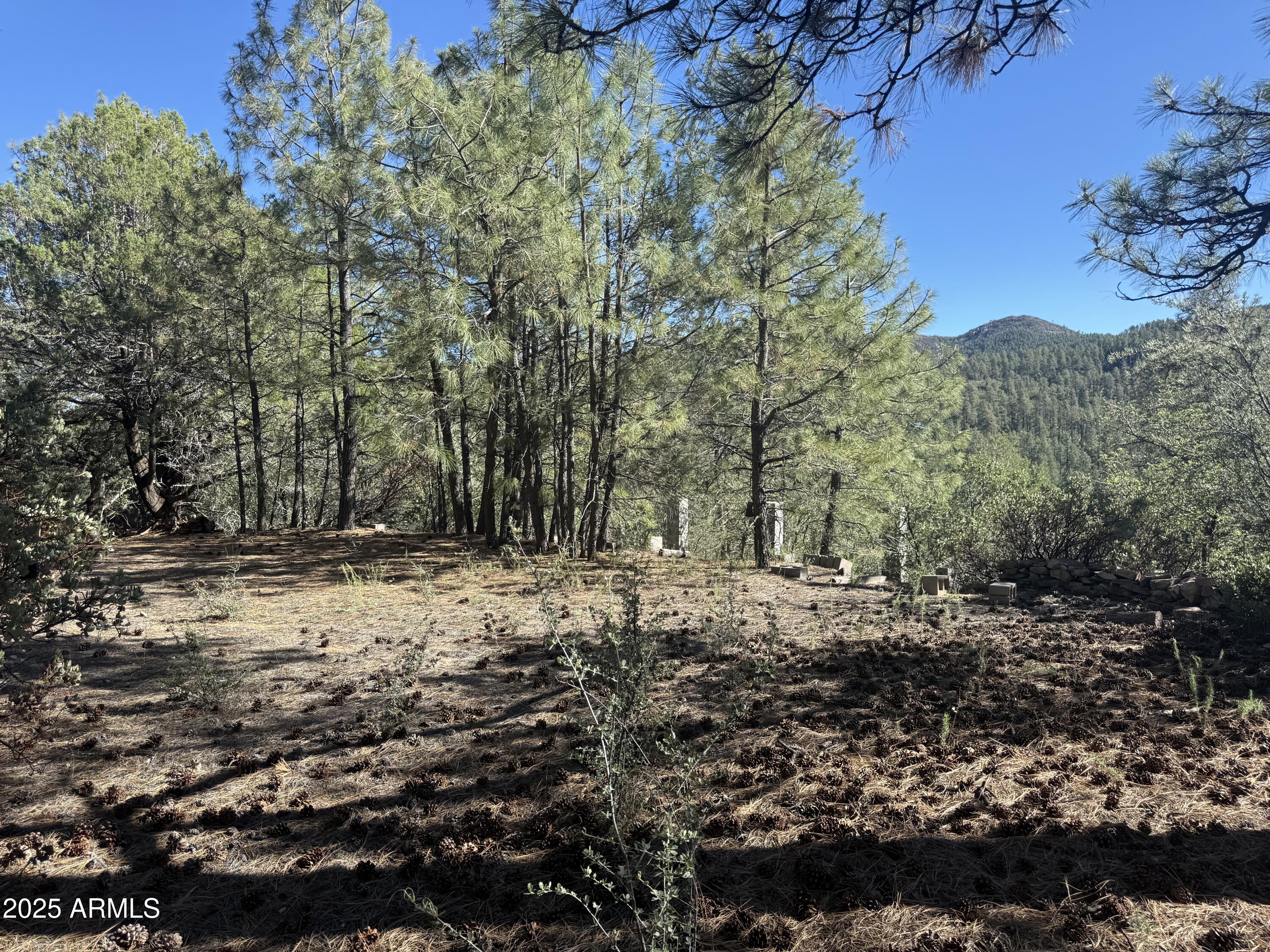 Looking for a secluded parcel with amazing views and tall pines? Look no further, this is a great panel to build your own custom Crown King cabin! Excellent location, bordering Prescott National Forest. Very secluded with few neighbors nearby and gated. Electricity nearby at the neighboring cabin. Driveway installed and small building pad. Seasonal creek nearby. Driveway will require 4 wheel drive.