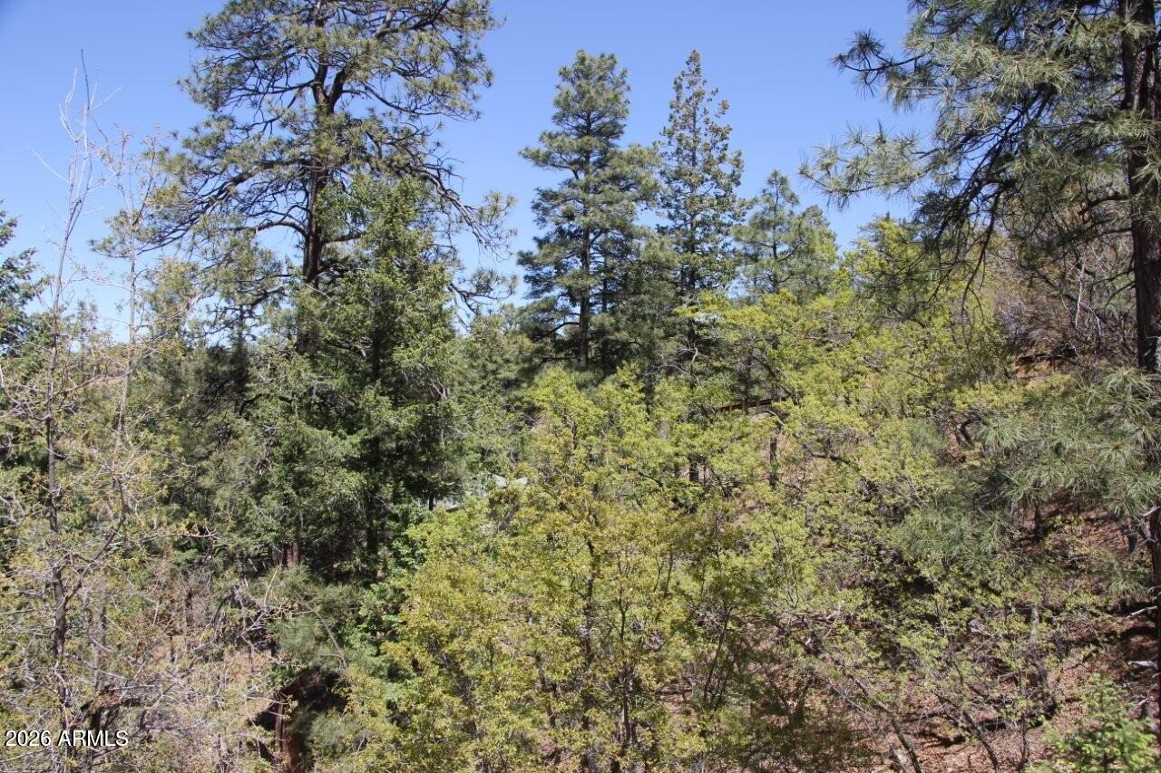 14 acres borders Prescott Nation Forest - Land