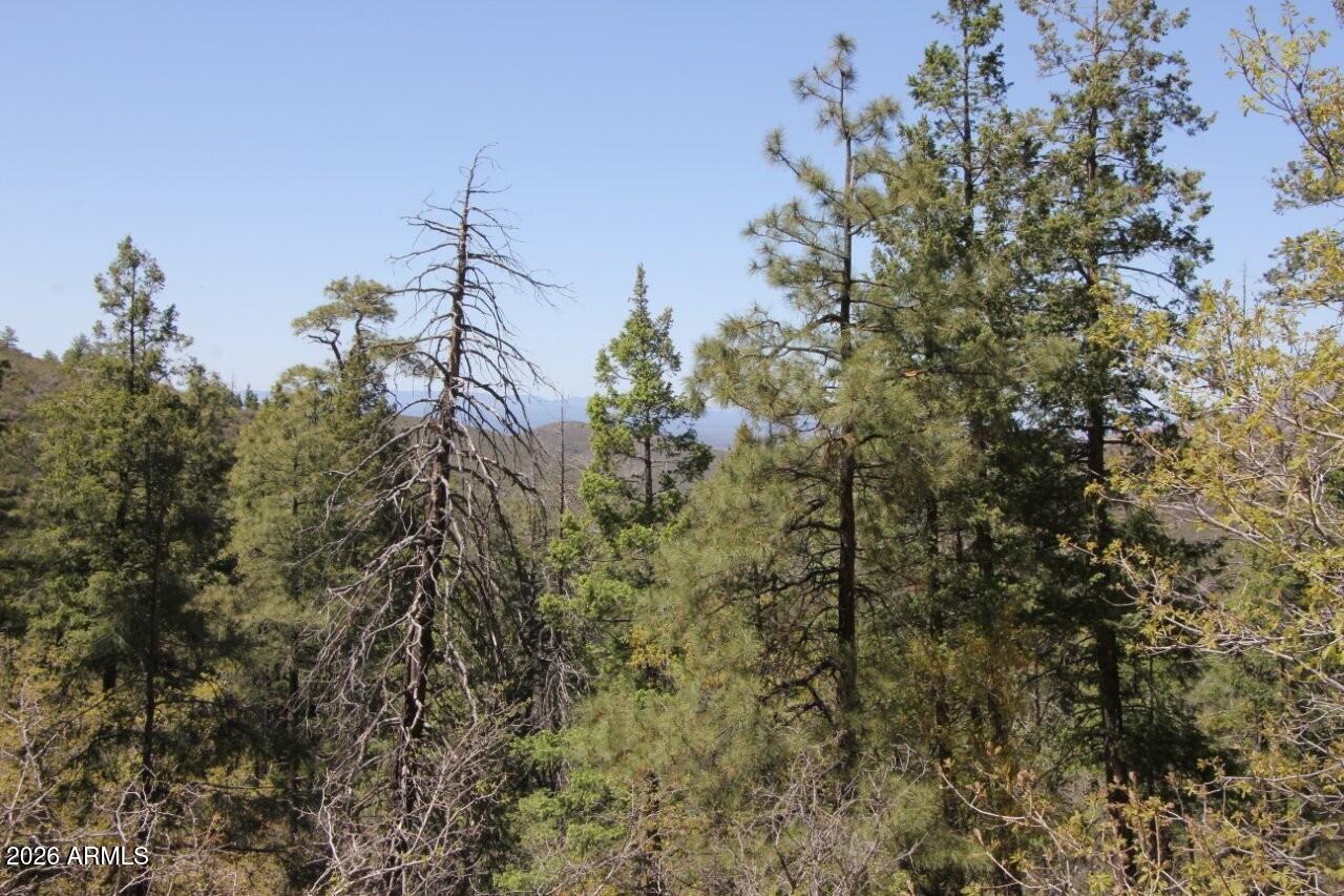 14 acres borders Prescott Nation Forest - Land