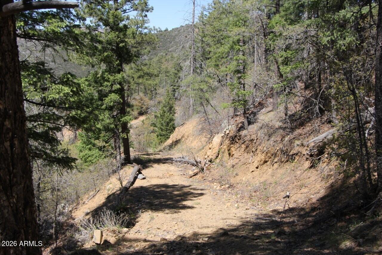 14 acres borders Prescott Nation Forest - Land