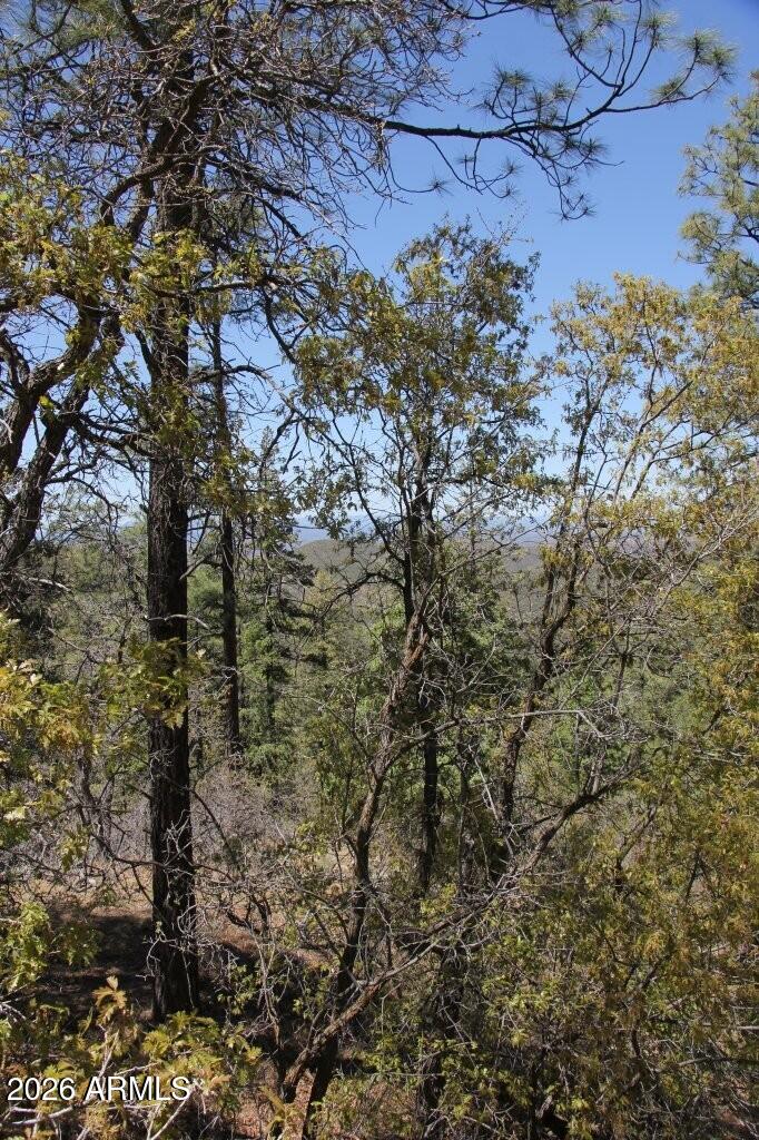 14 acres borders Prescott Nation Forest - Land