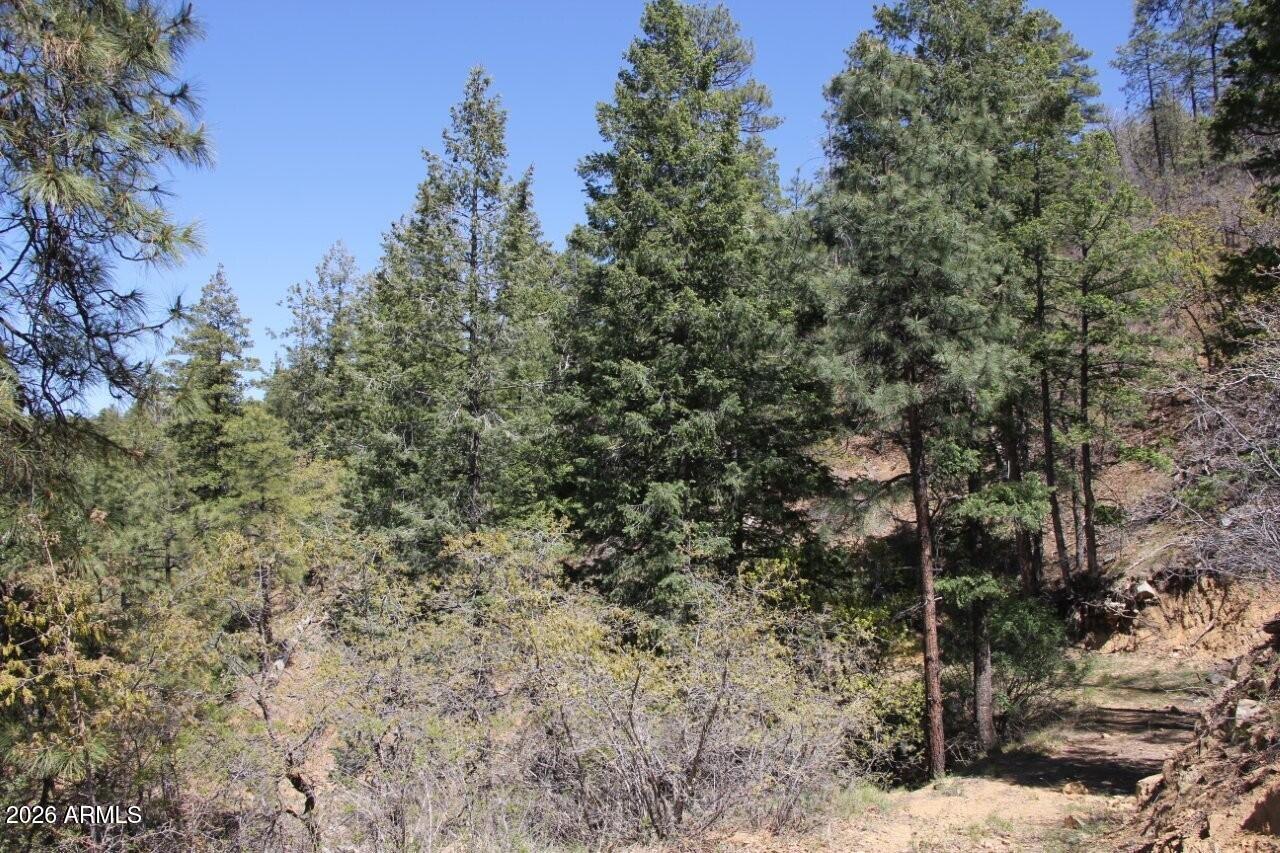 14 acres borders Prescott Nation Forest - Land