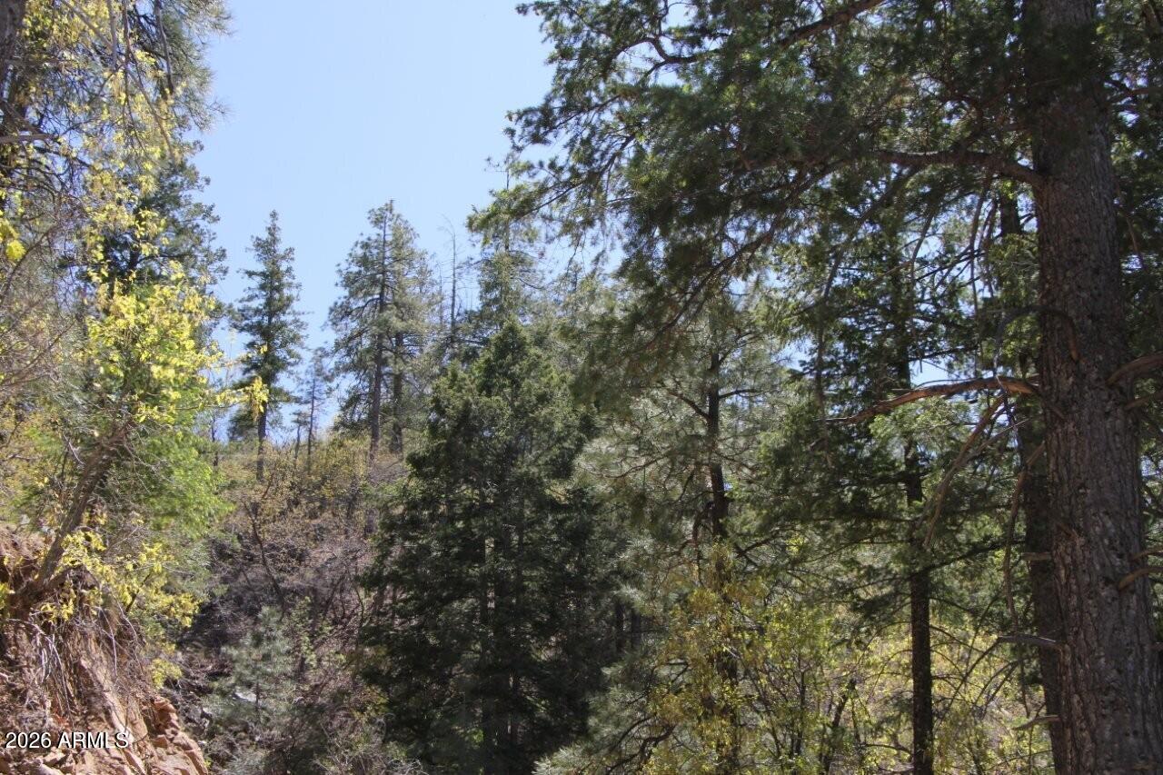 14 acres borders Prescott Nation Forest - Land