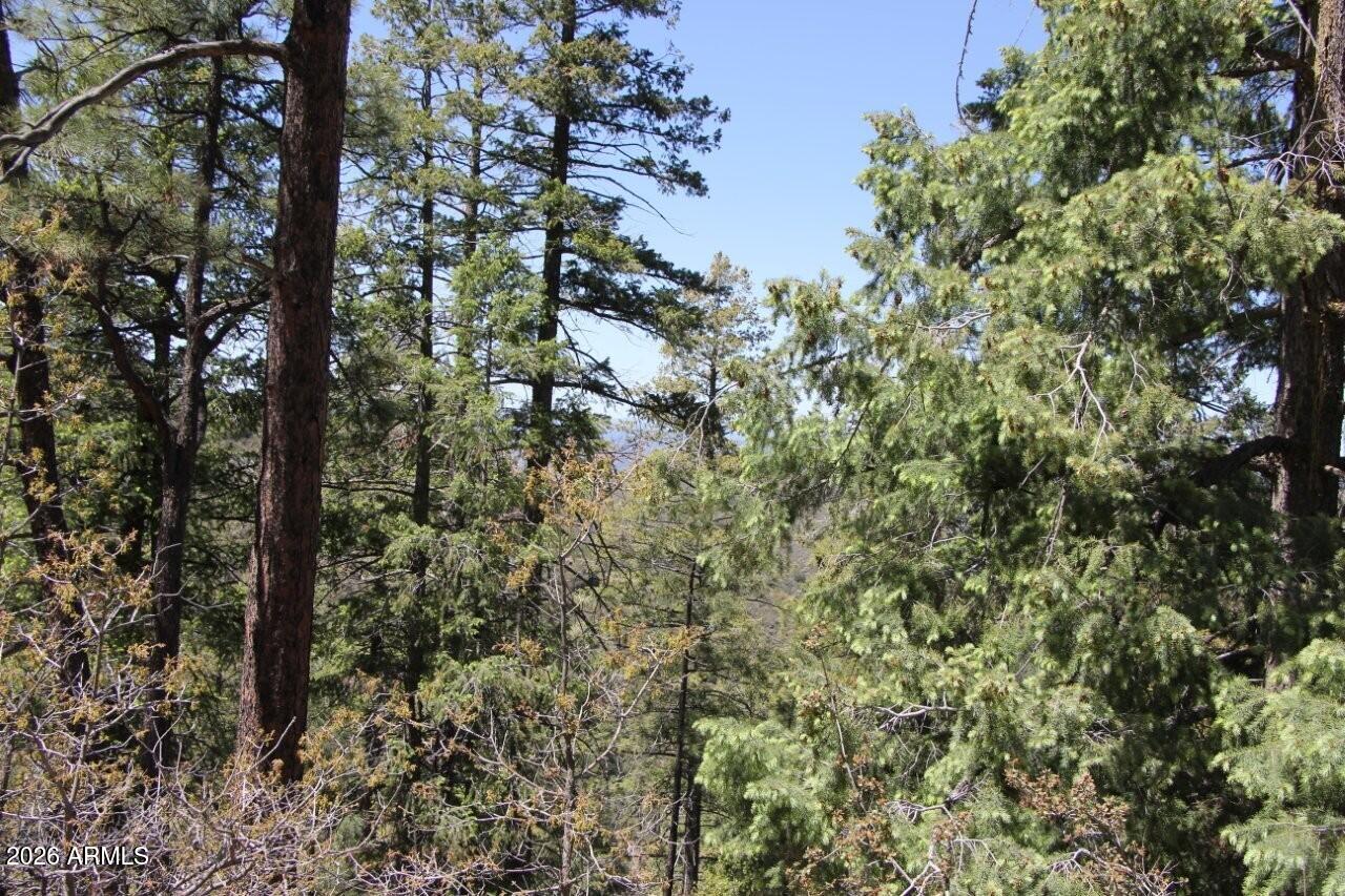 14 acres borders Prescott Nation Forest - Land