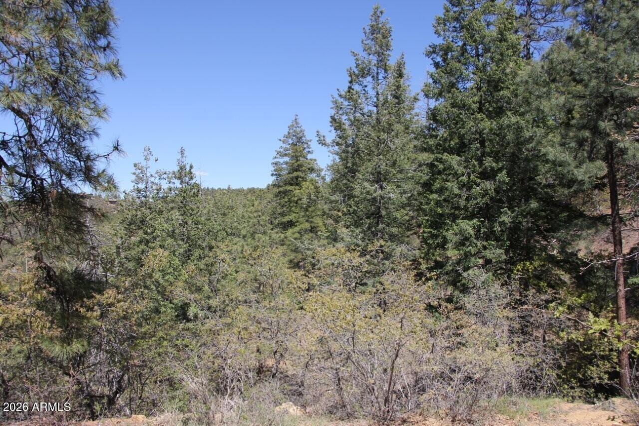 14 acres borders Prescott Nation Forest - Land
