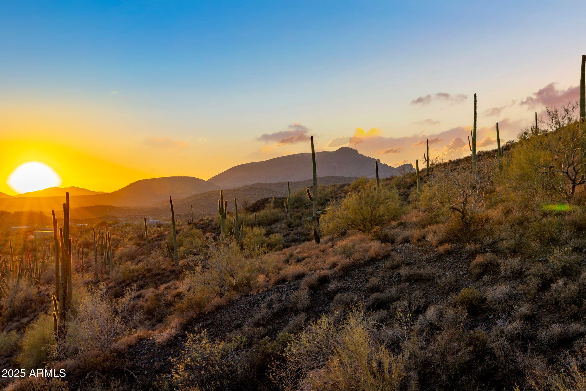 Rare 20-acre desert parcel lined with saguaro forest in Cave Creek, Arizona, offering privacy, dramatic views, and flexible development possibilities. The property is currently configured into three parcels (2 five acre parcels and 1 ten acre parcel) and can be subdivided into 4 five-acre parcels. A truly versatile canvas for your dream home, ranch, or equestrian compound—just minutes from downtown Cave Creek and Scottsdale. Building plans available. Utilities in close proximity as is a capped well. For Sale are parcels 216-17-005P, 216-17-005X, and 216-17-005W all with same address, but divided into 3 parcels.