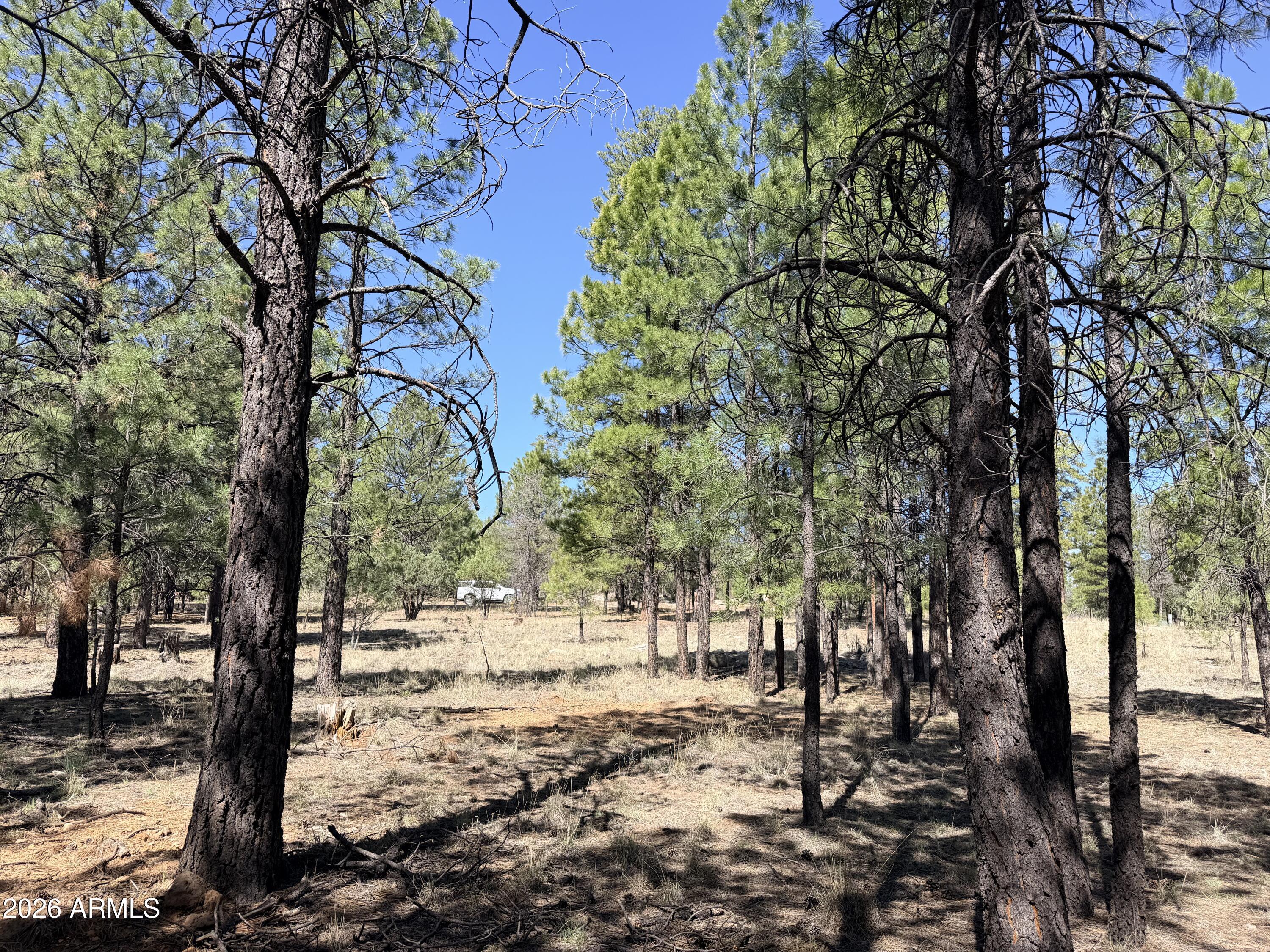 PINE CANYON 3 - Land