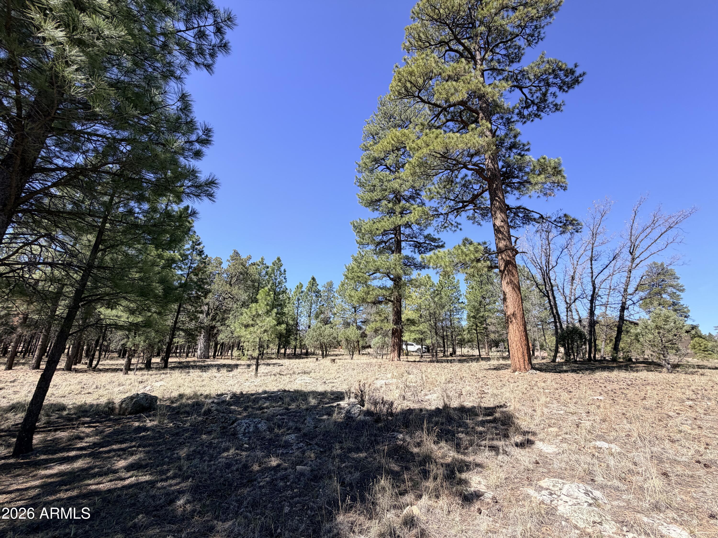 PINE CANYON 3 - Land