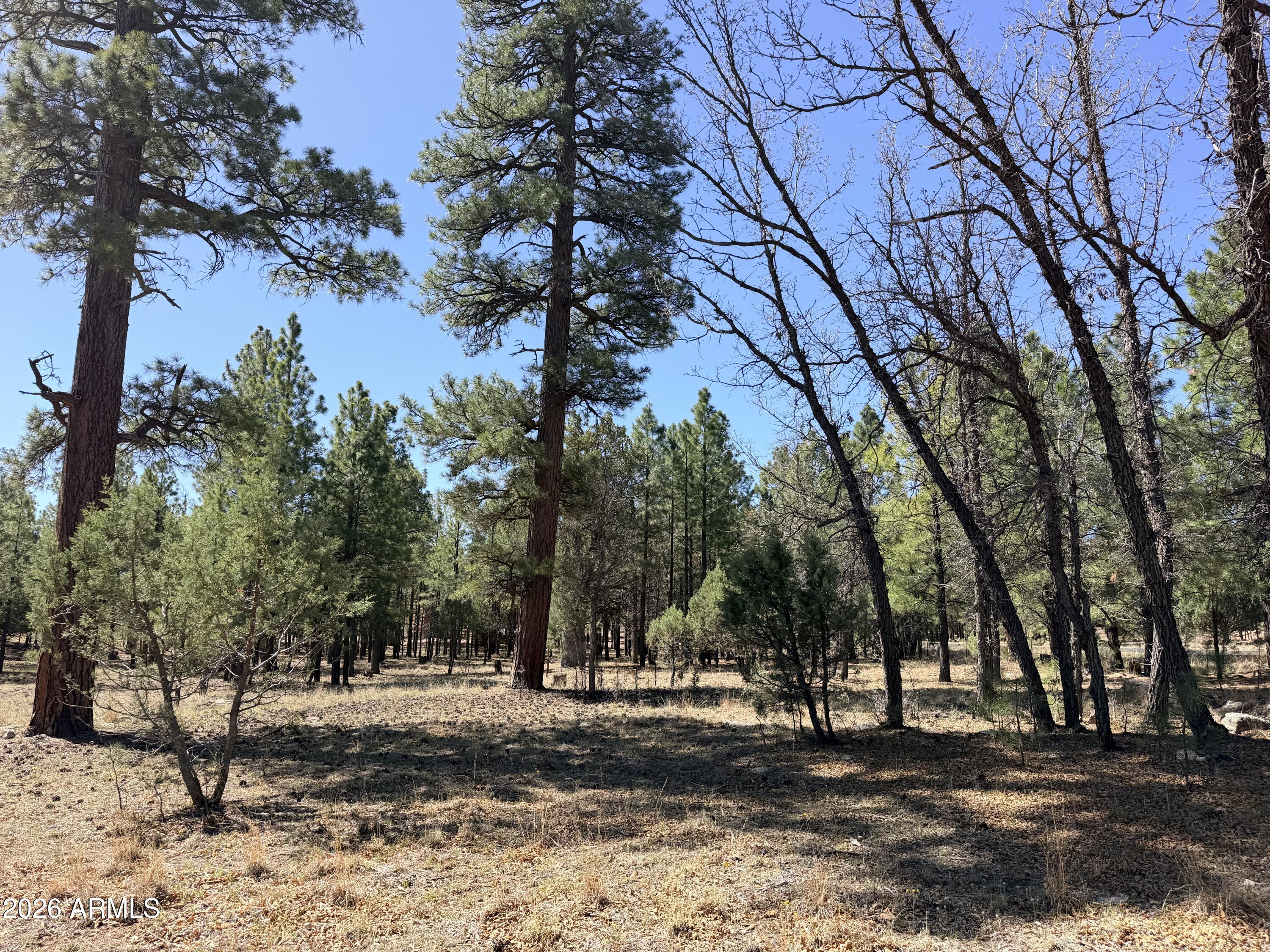 PINE CANYON 3 - Land