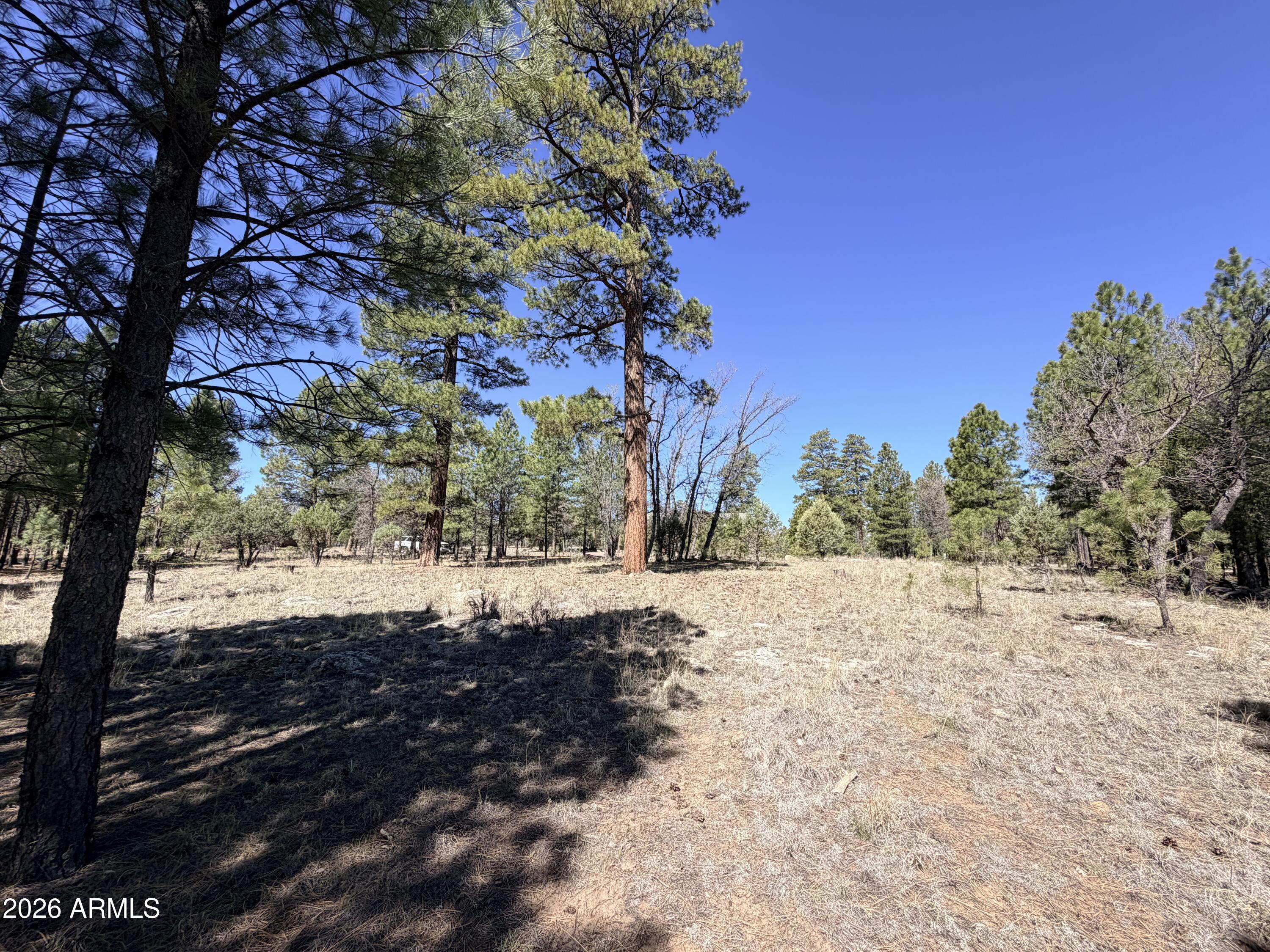 PINE CANYON 3 - Land
