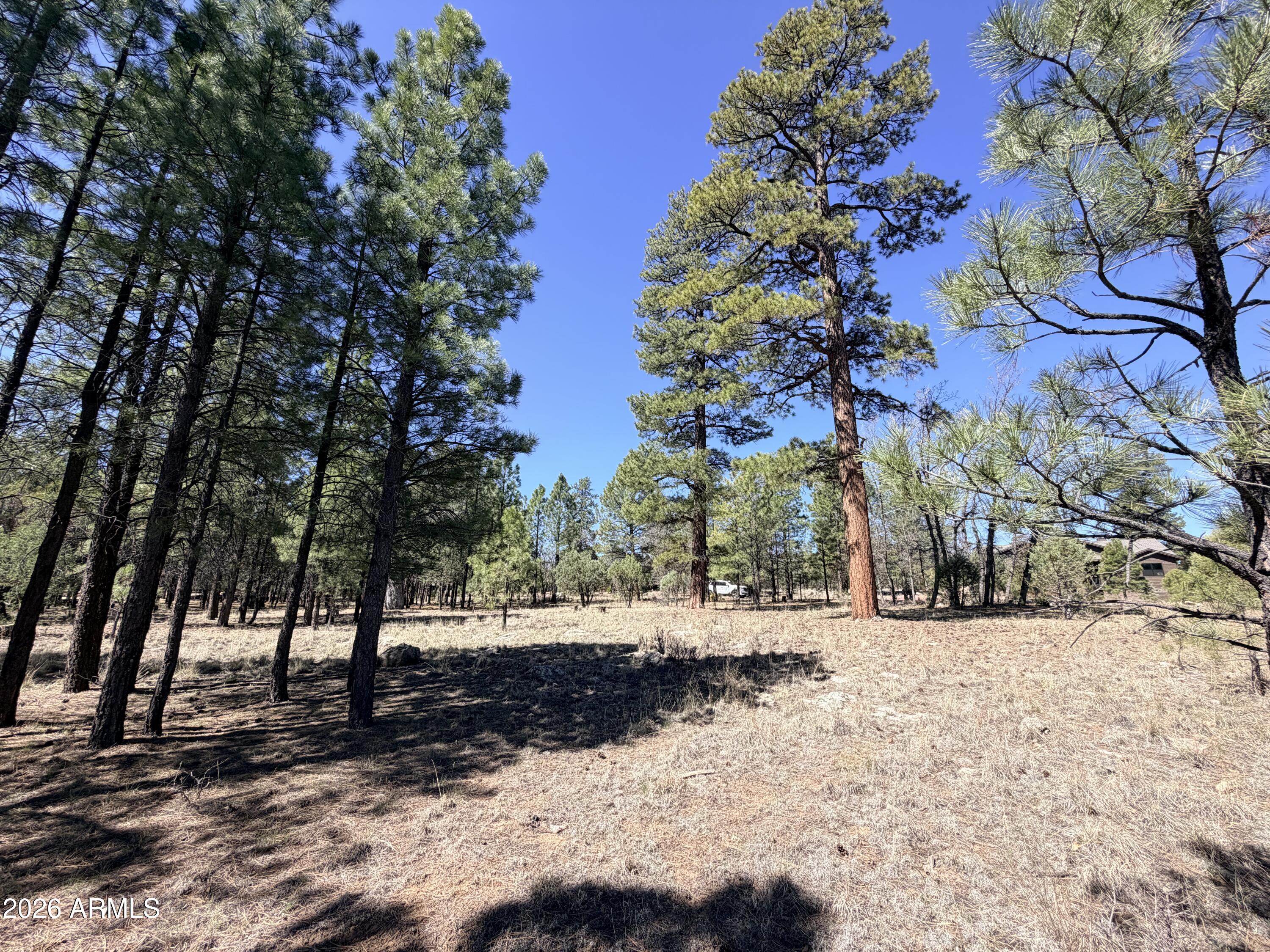 PINE CANYON 3 - Land