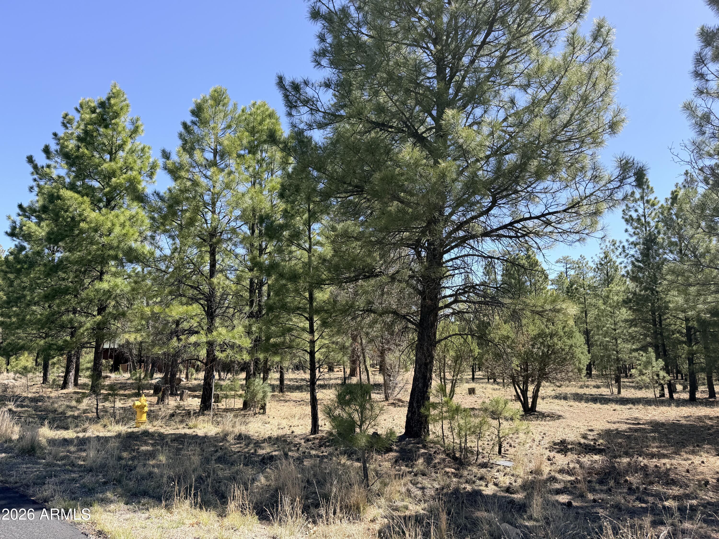 Ready to build in this prestigious gated subdivision of Happy Jack.   Beautiful well treed level lot in gated community of Pine Canyon.  Lot has already had site investigation complete but will need septic installed.  Both electricity and water are to lot line.  Design your perfect dream home and start building. (Seller has some architectural designs that could be available with purchase) Lot has a variety of mature trees. Paved road throughout subdivision, and an amazing clubhouse. Don't miss your opportunity to build here.