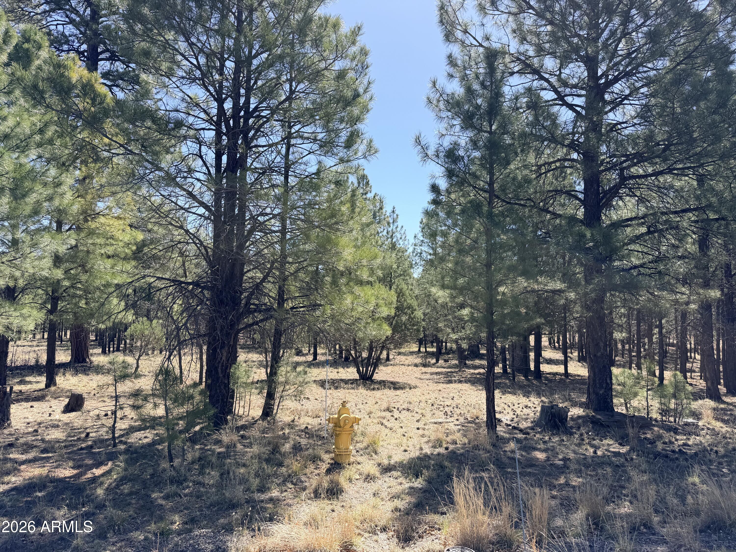 PINE CANYON 3 - Land