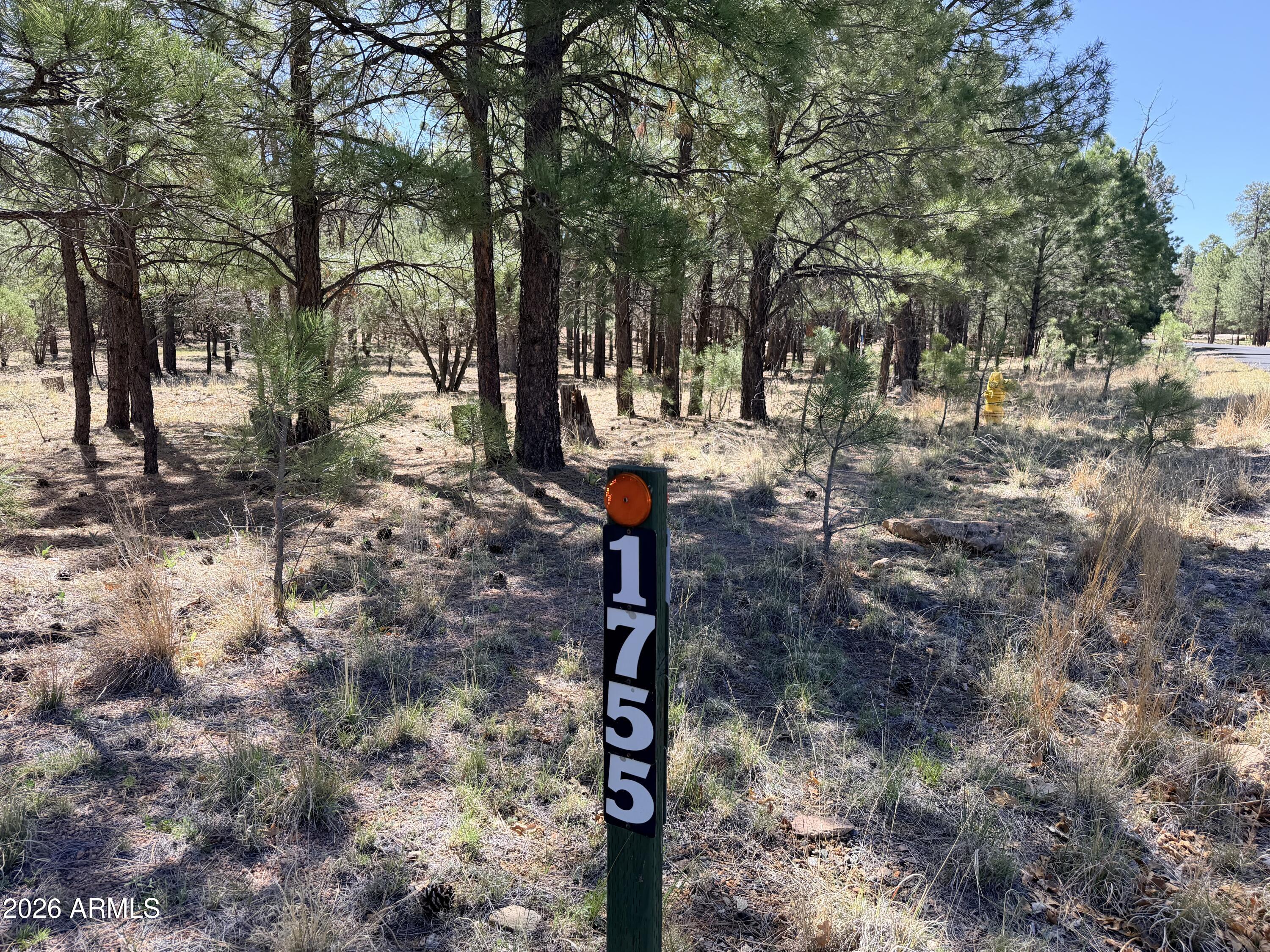 PINE CANYON 3 - Land