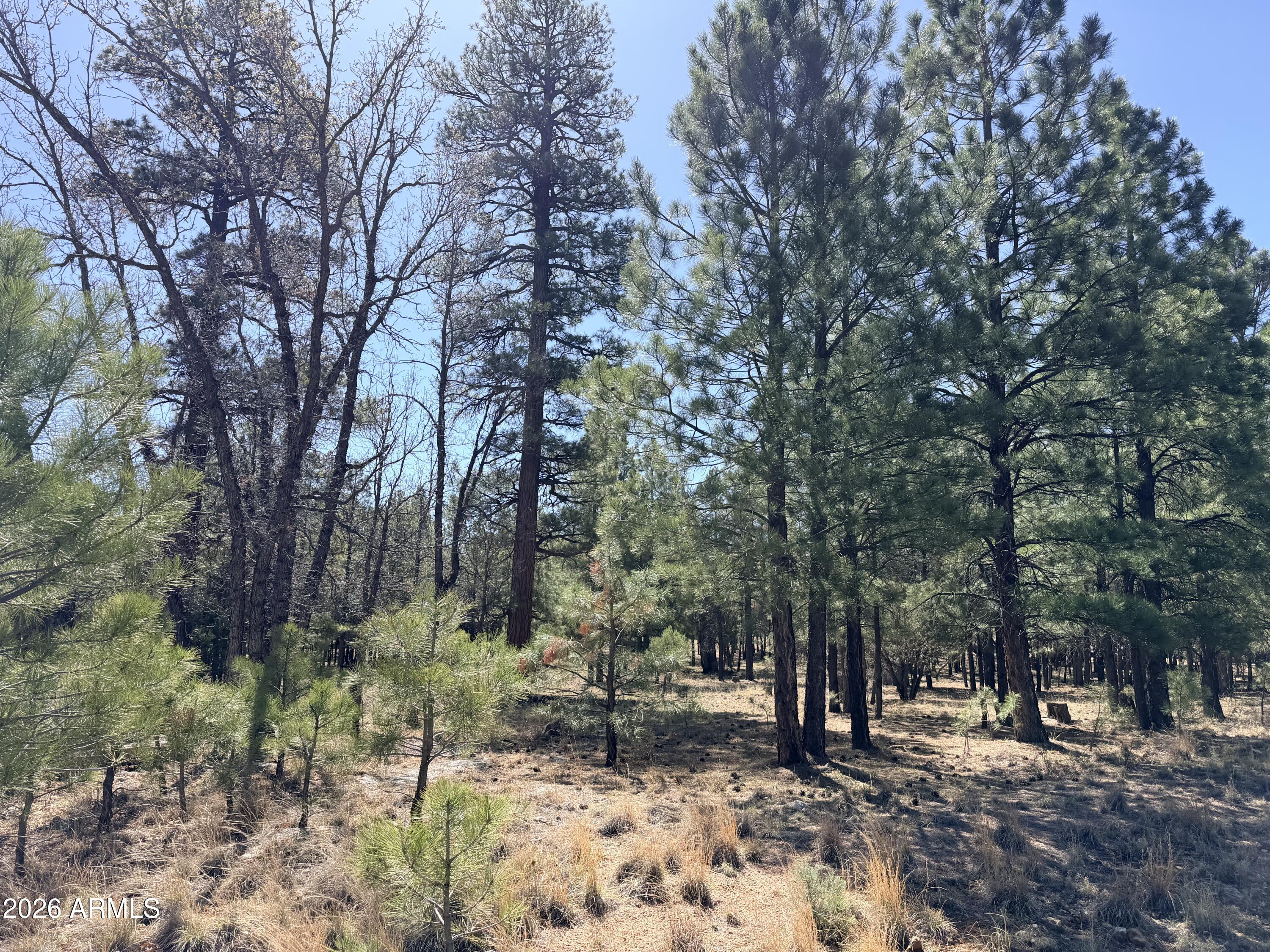 PINE CANYON 3 - Land