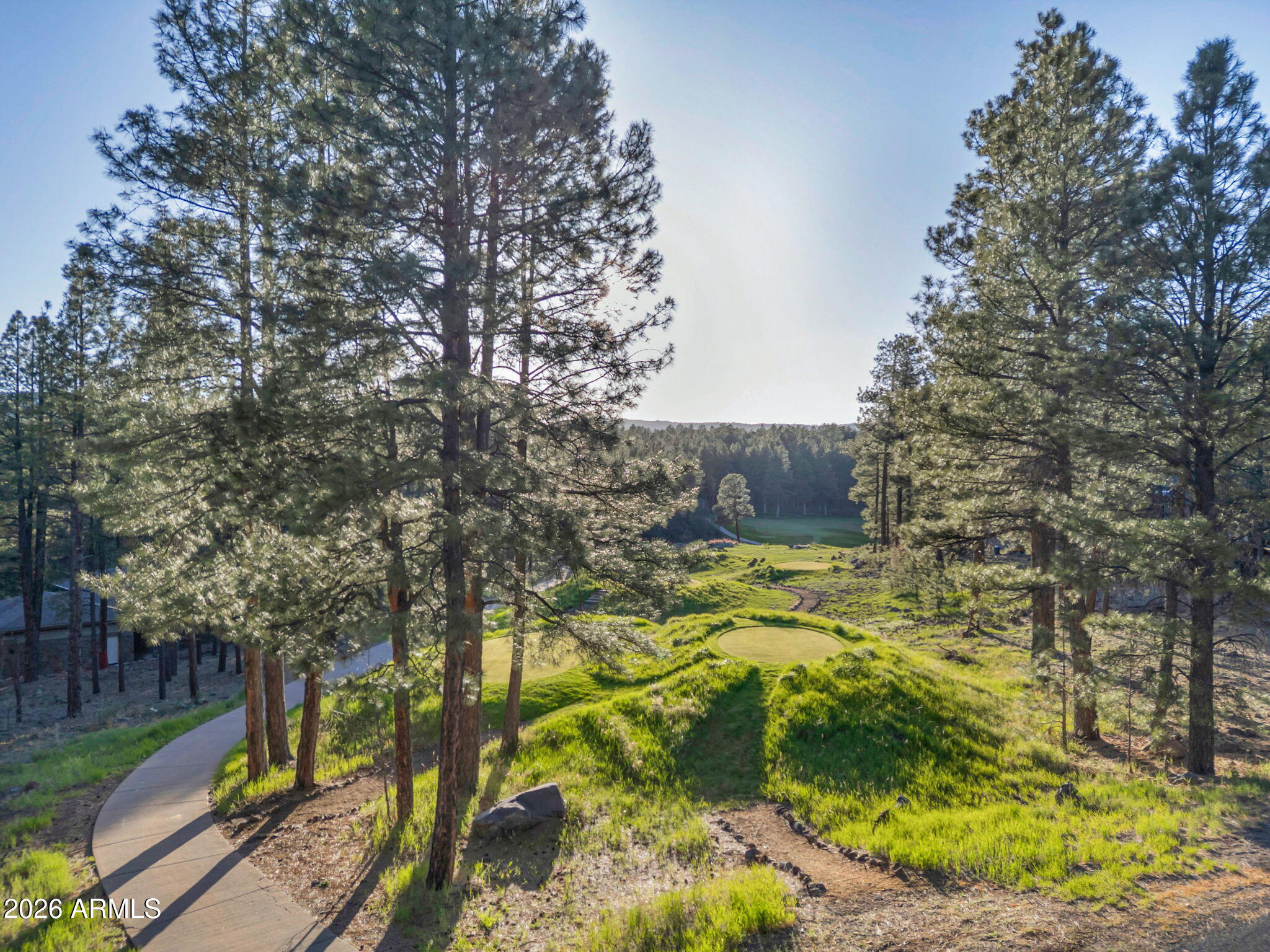 FOREST HIGHLANDS - Residential