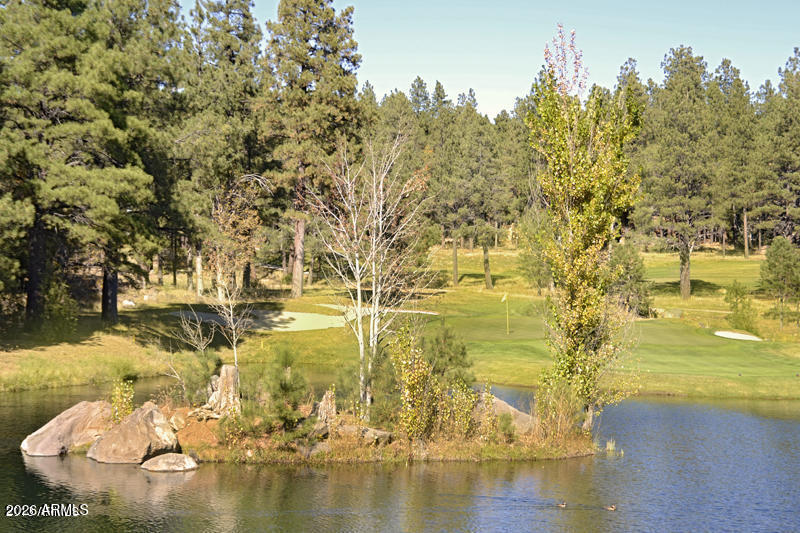 FOREST HIGHLANDS - Residential