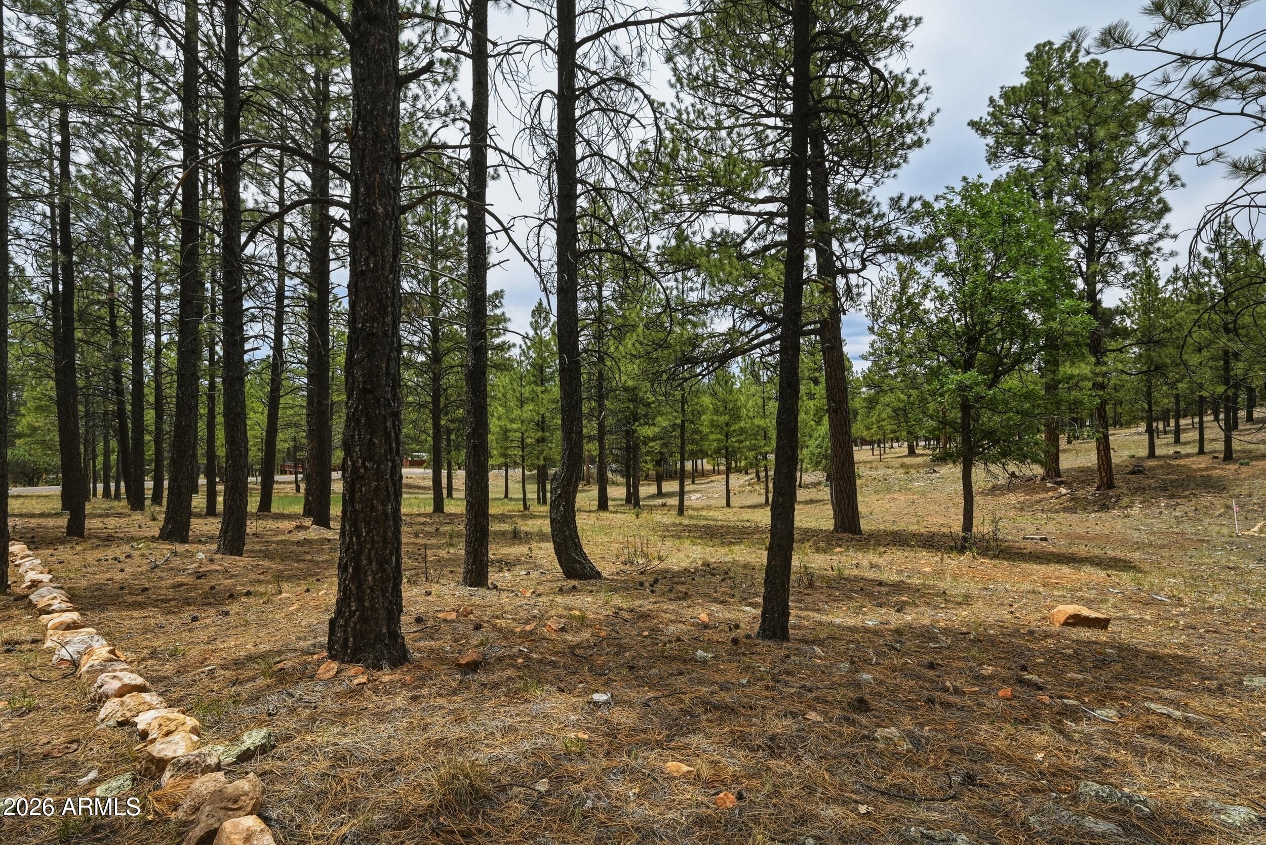 STARLIGHT PINES 4 PHASE 2 - Land