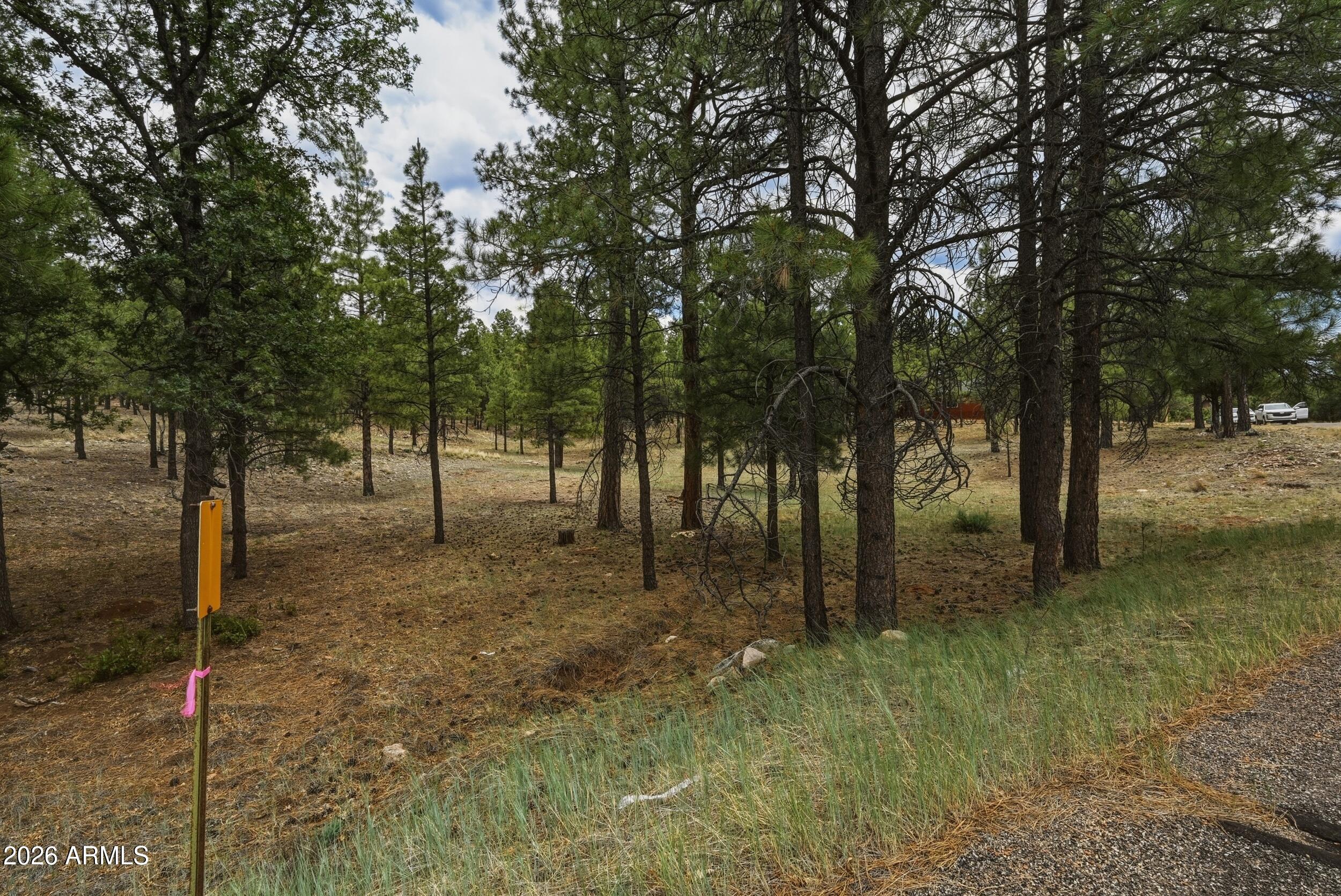 STARLIGHT PINES 4 PHASE 2 - Land
