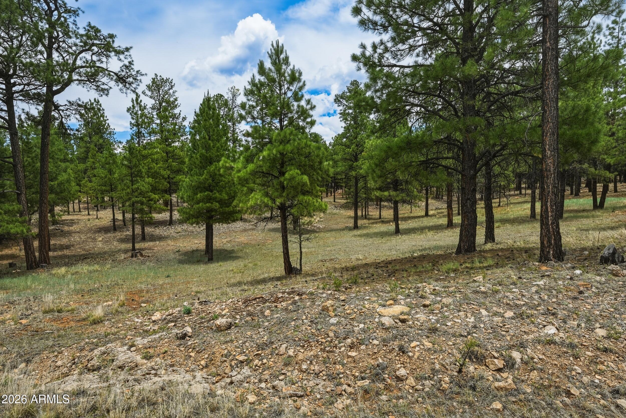 STARLIGHT PINES 4 PHASE 2 - Land