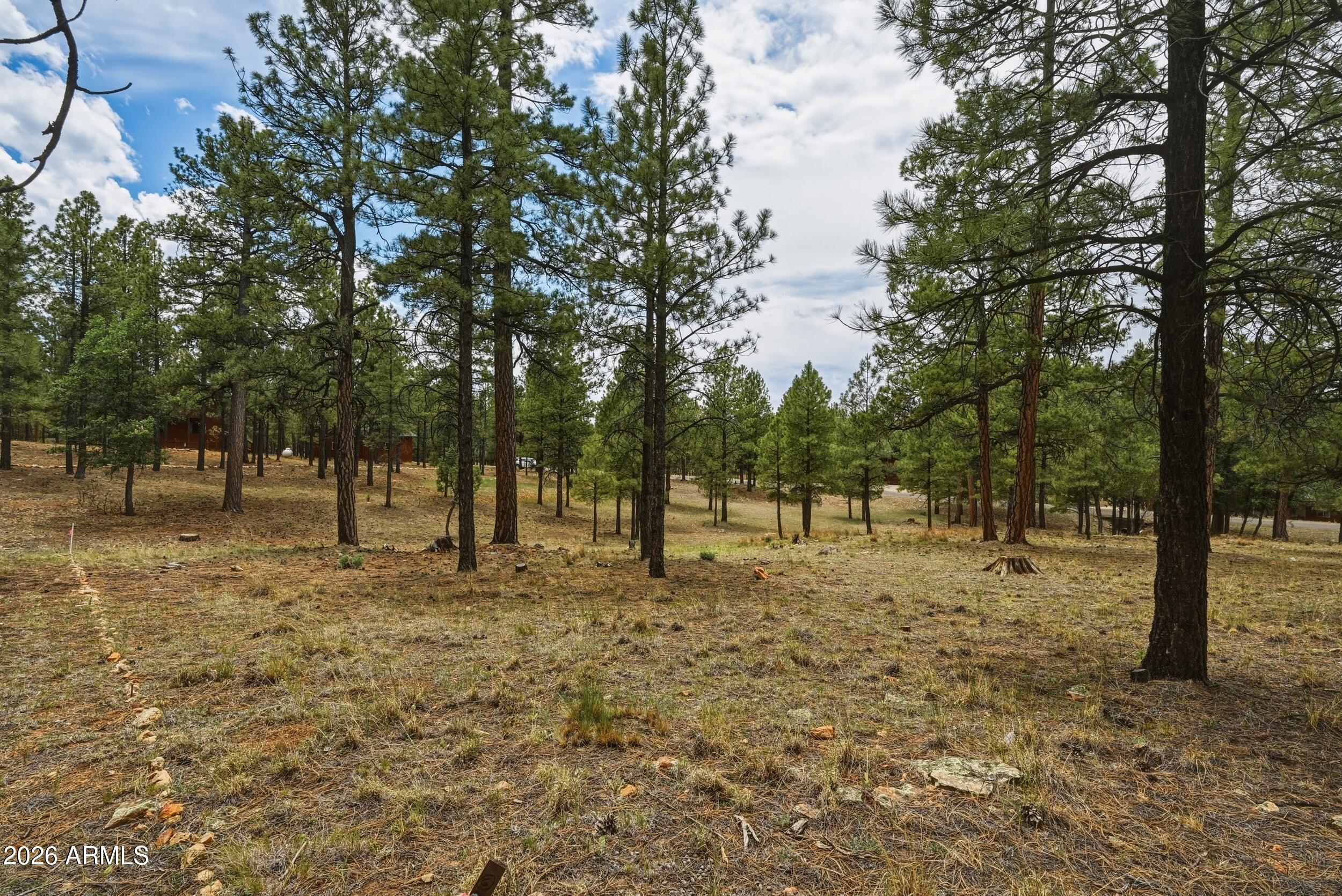 STARLIGHT PINES 4 PHASE 2 - Land