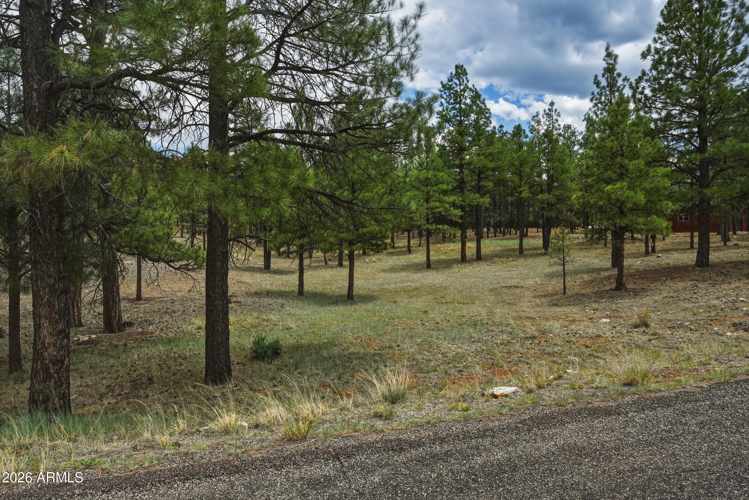 STARLIGHT PINES 4 PHASE 2 - Land